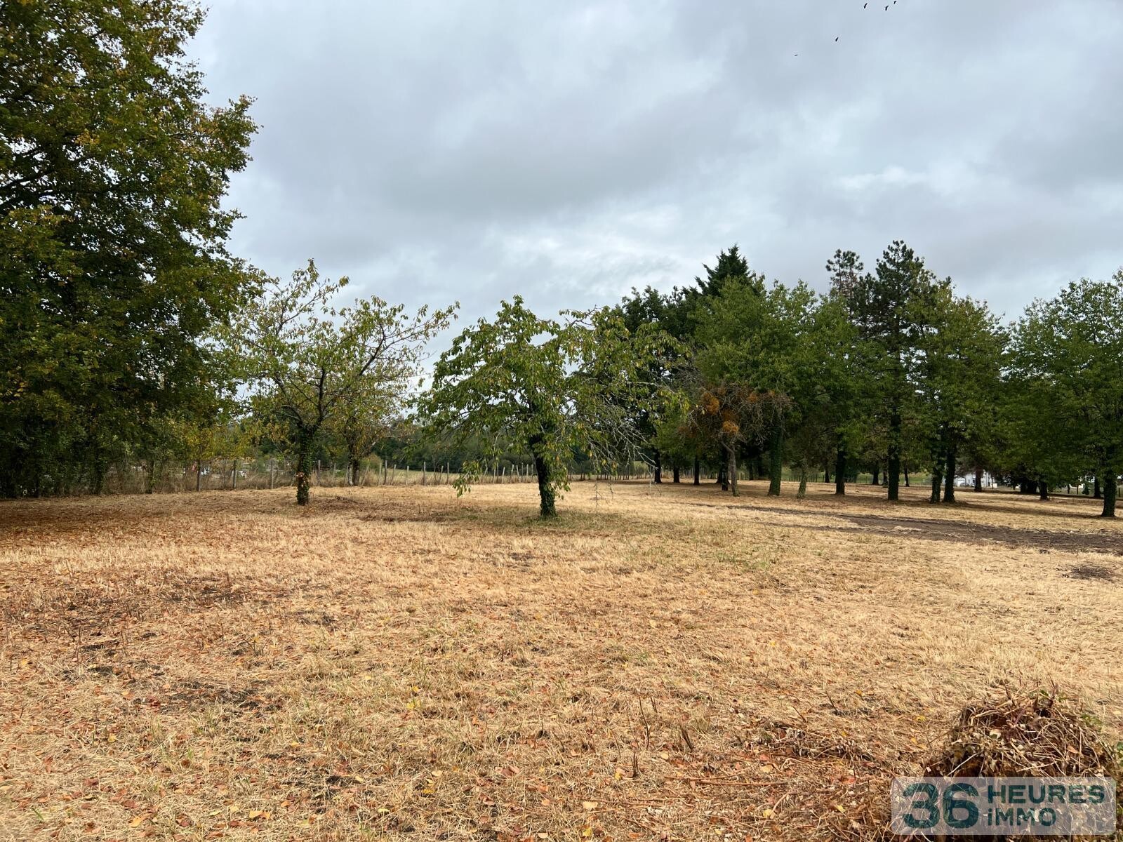 Ensemble de deux maisons sur un grand terrain arbore