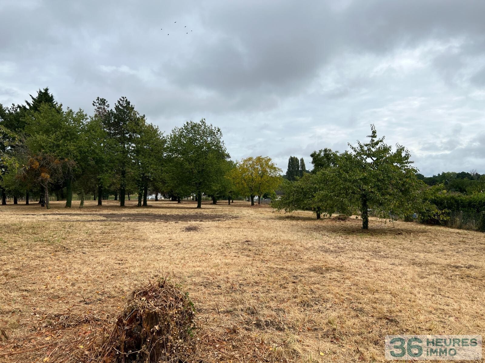Ensemble de deux maisons sur un grand terrain arbore
