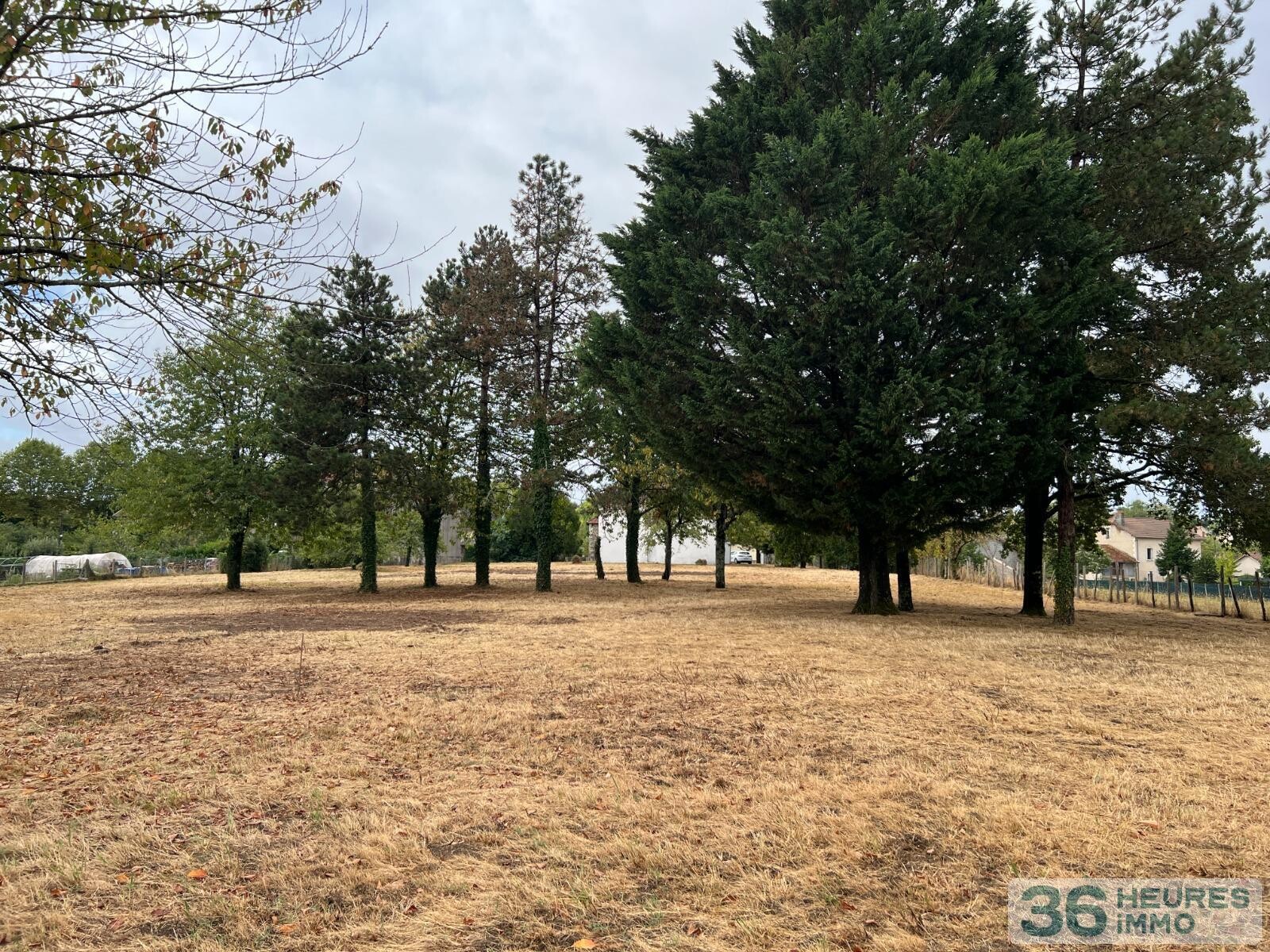 Ensemble de deux maisons sur un grand terrain arbore
