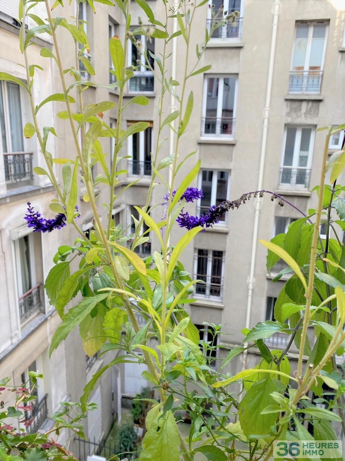 Appartement 3 pièces