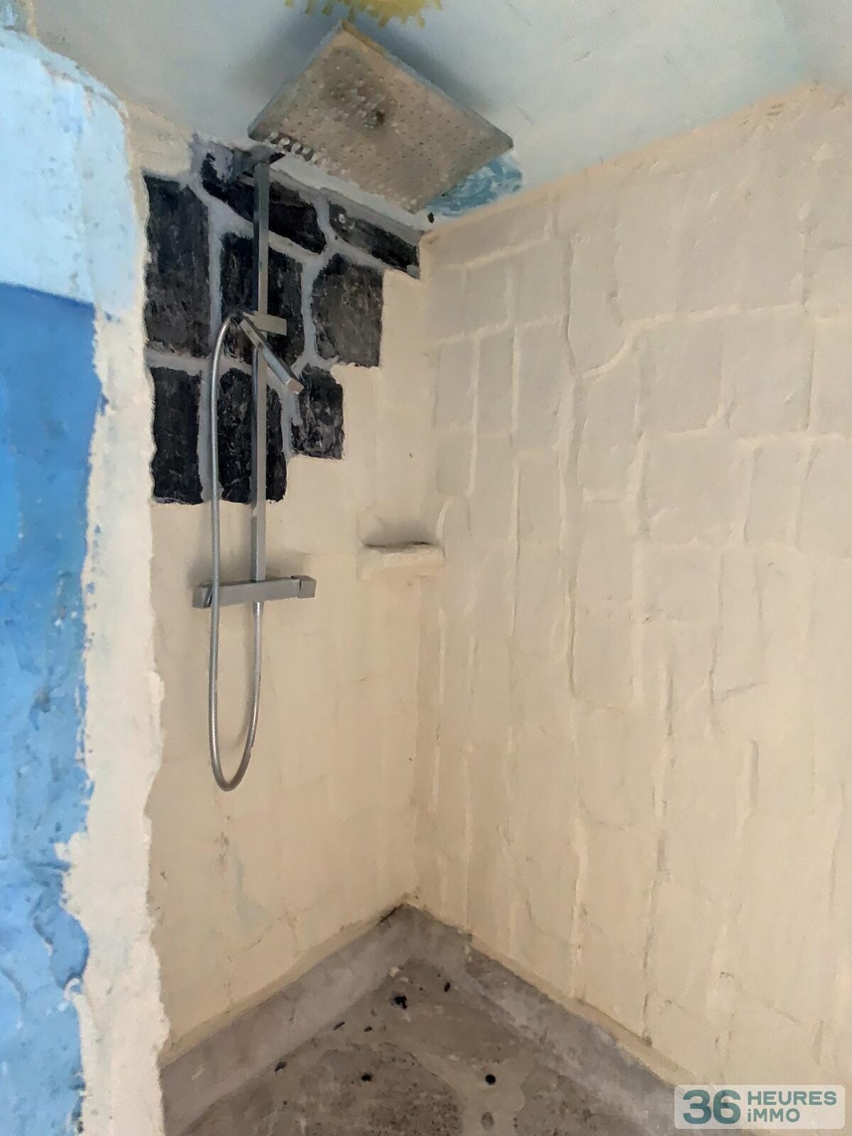 Ensemble immobilier - maison + grange + dépendances sur vaste terrain