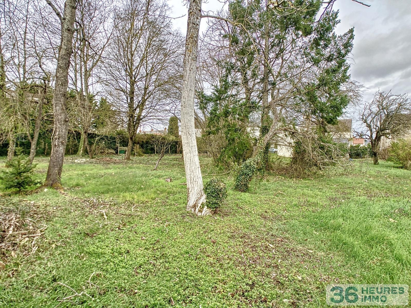 Charmante maison de ville avec grand jardin arboré à orléans