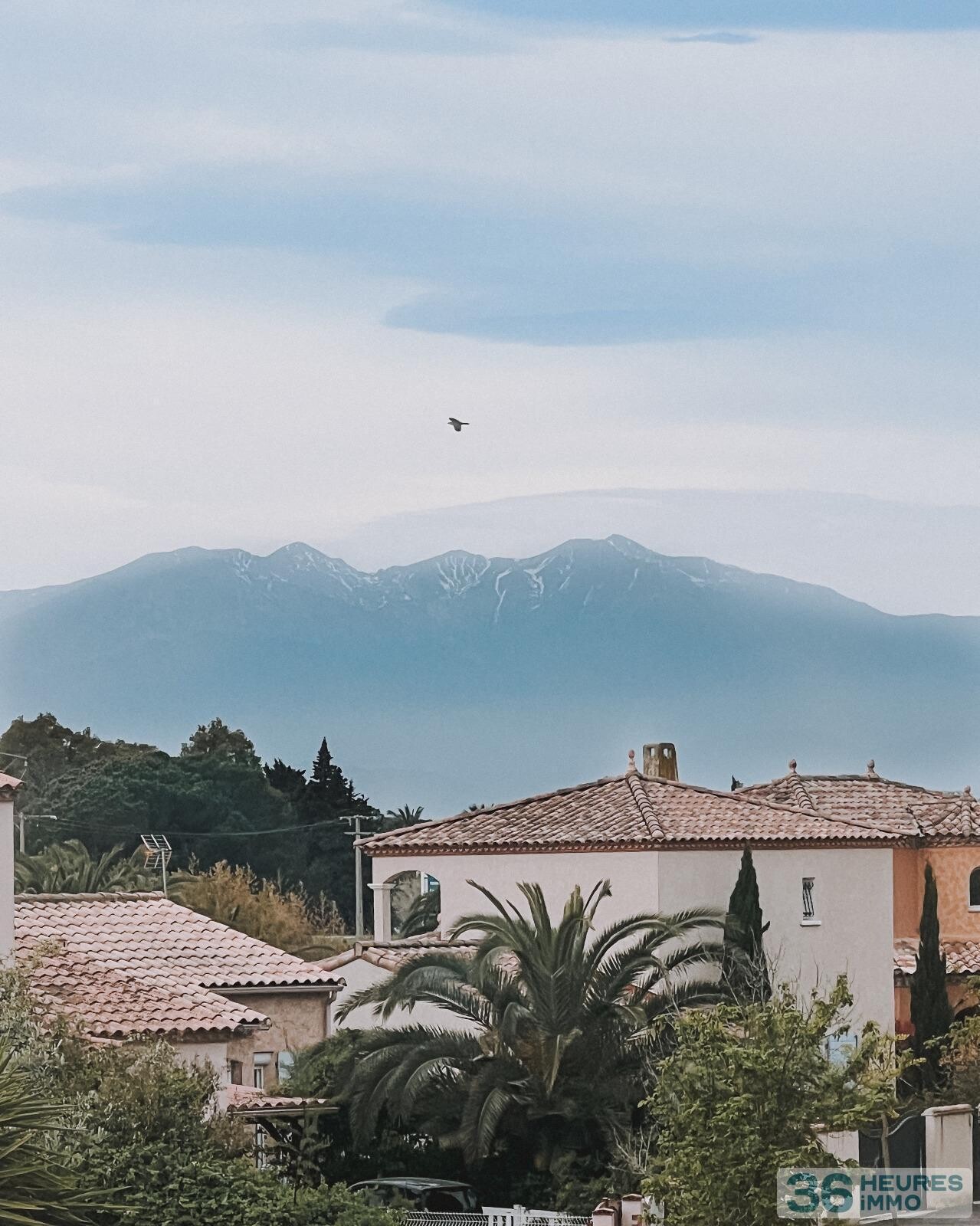 Villa saint-cyprien quartier recherche