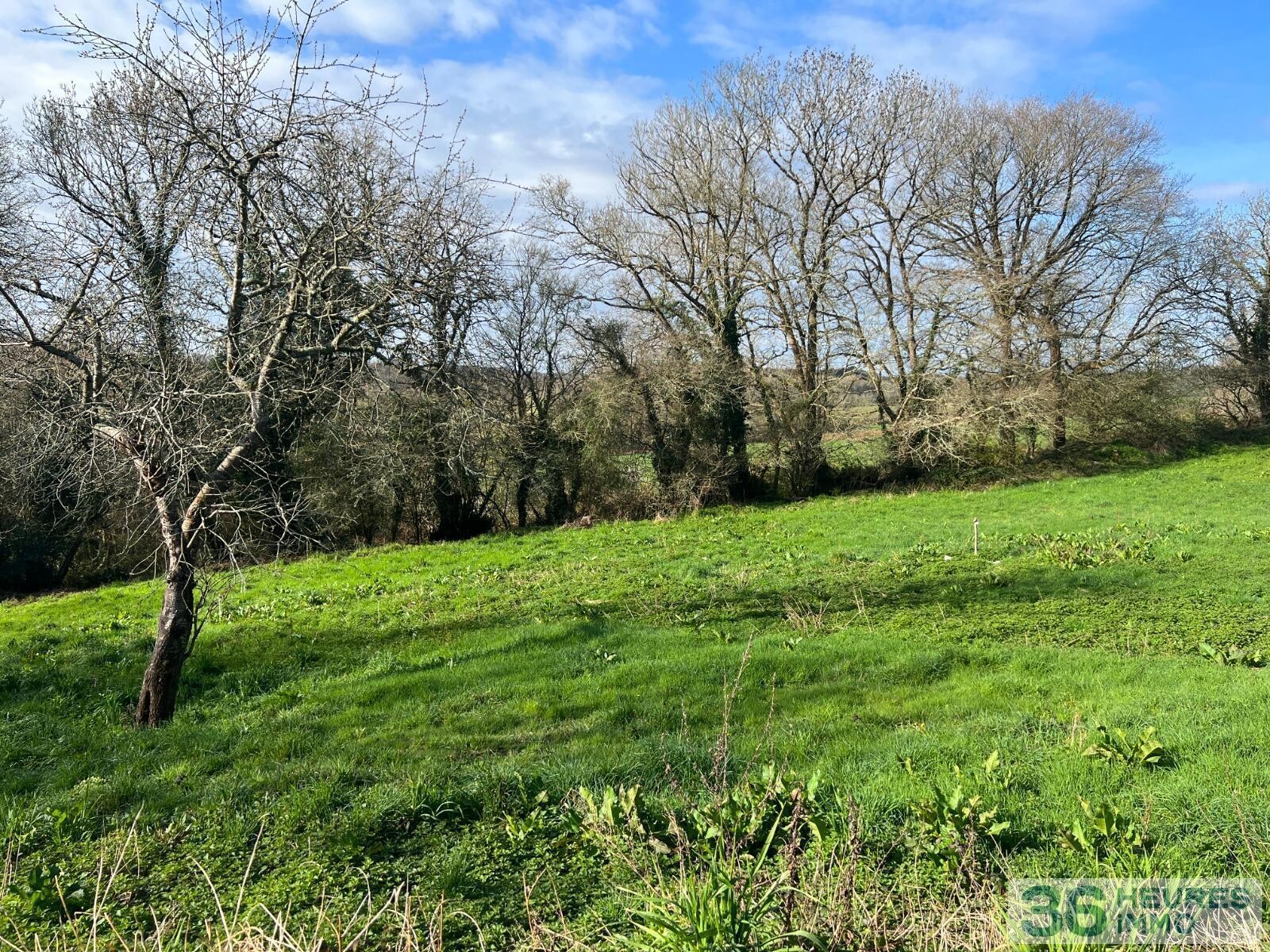 Maison avec un locataire en place