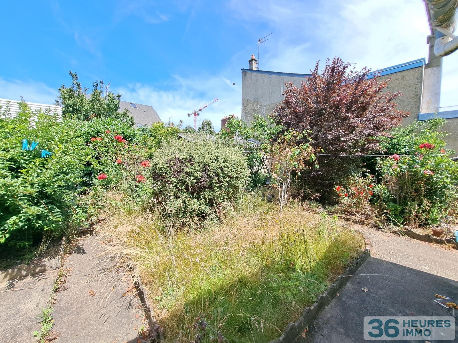Jaures - 2 maisons a renover - jardin 