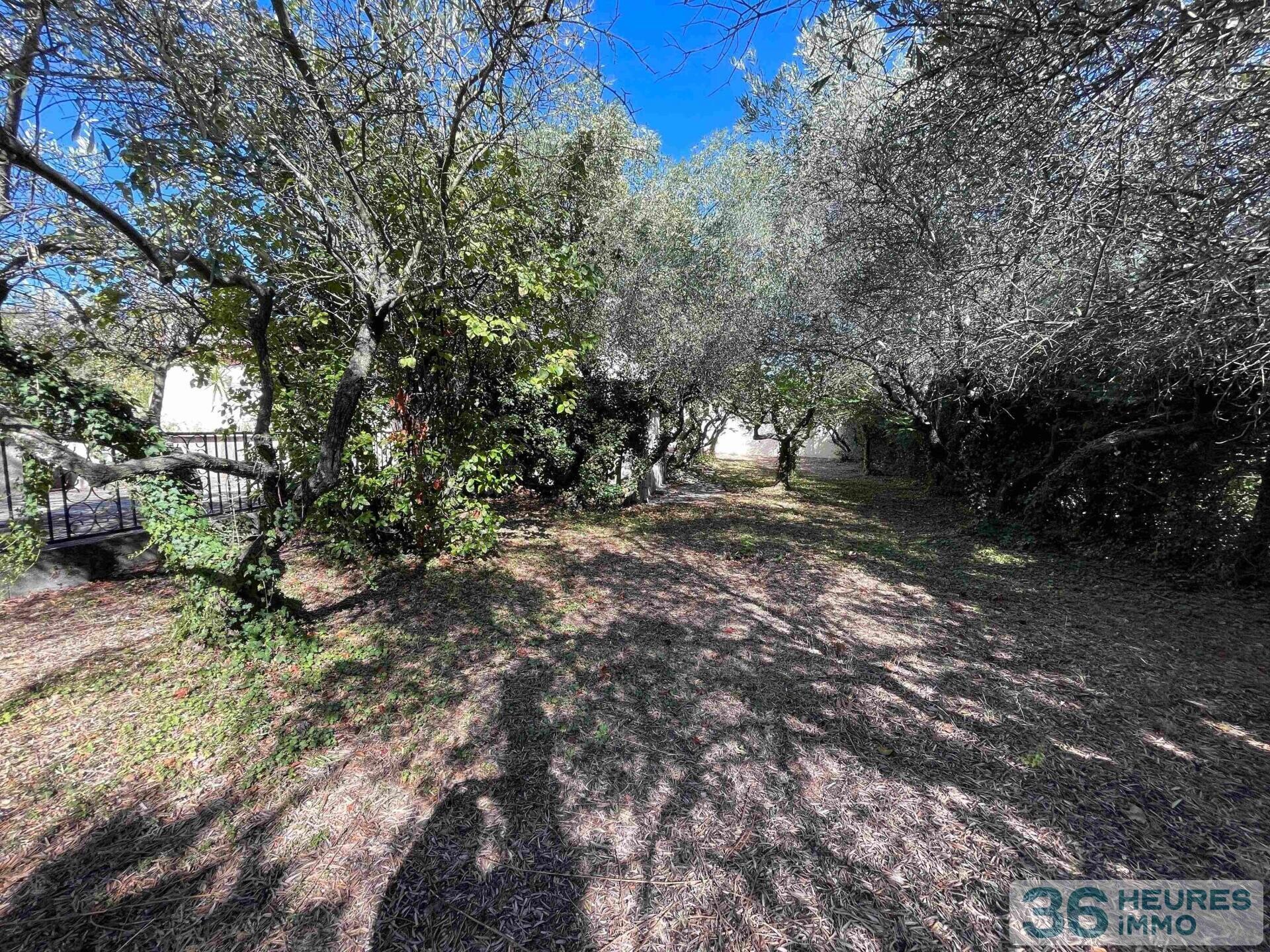 Villa 177 m2 sur 1259 m2 de terrain avec piscine