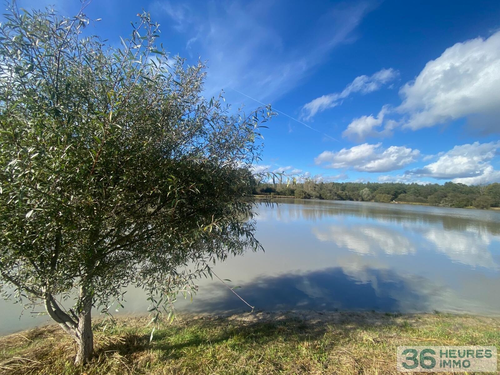 Terrain de loisir avec étang