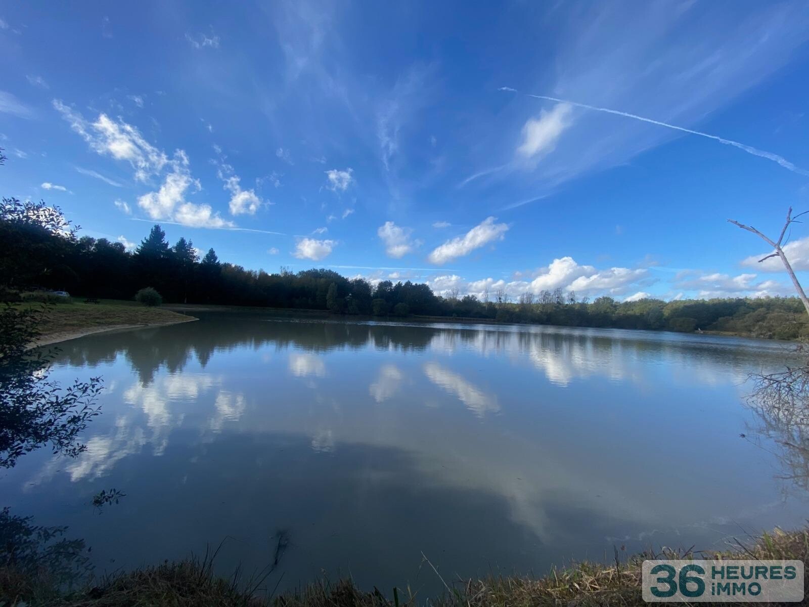 Terrain de loisir avec étang