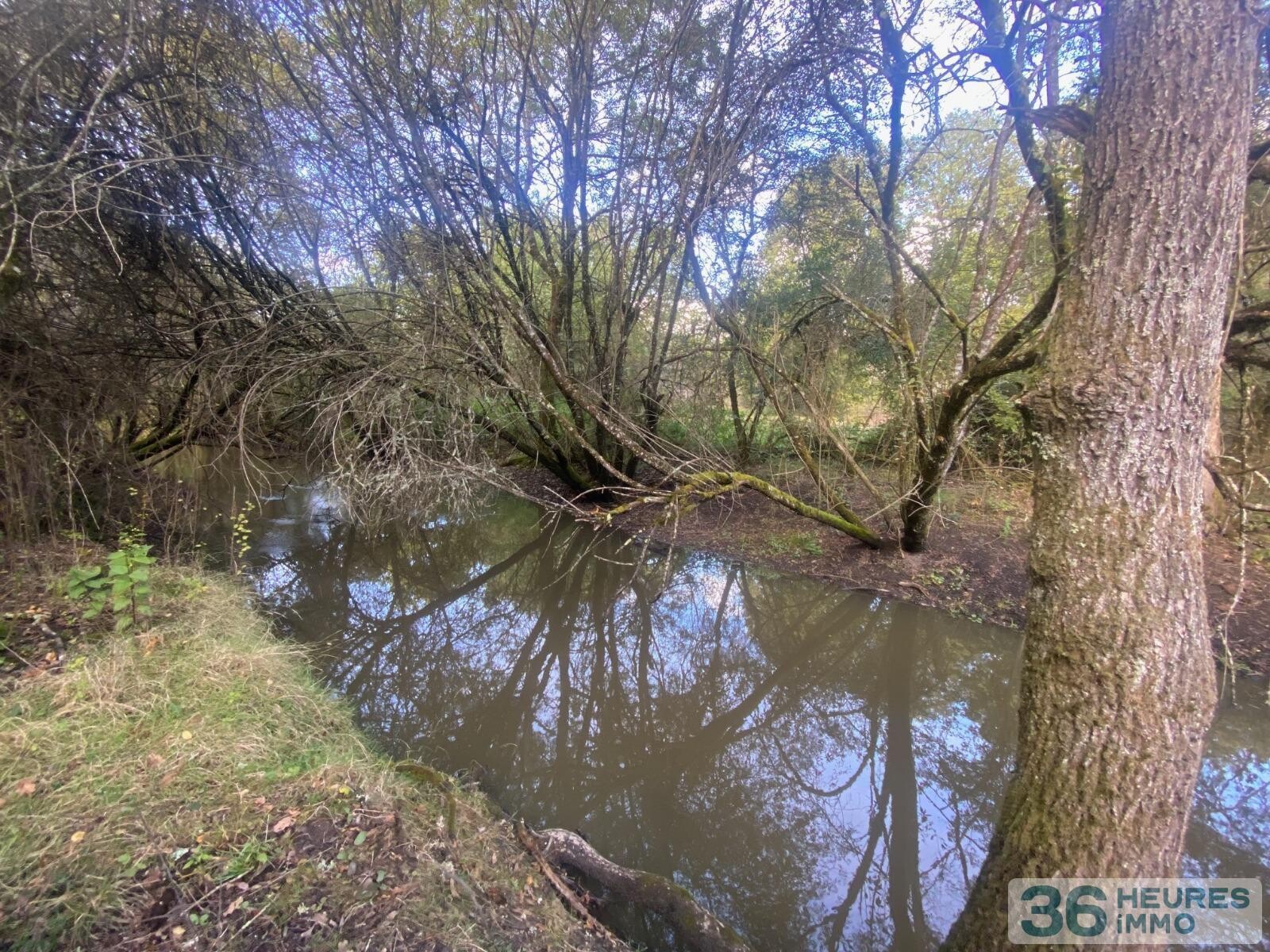 Terrain de loisir avec étang
