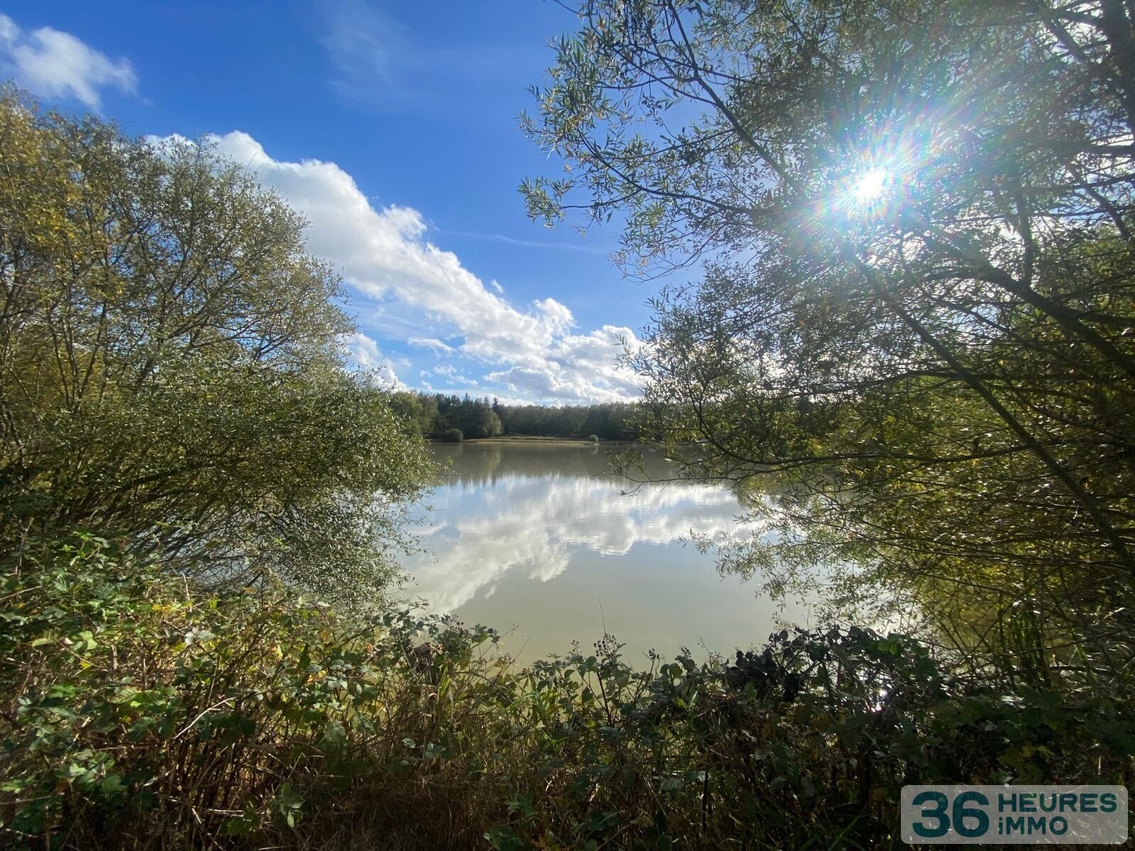 Terrain de loisir avec étang