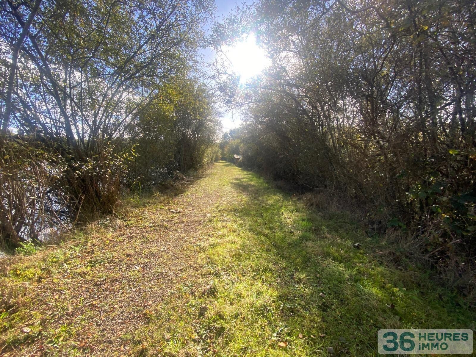 Terrain de loisir avec étang