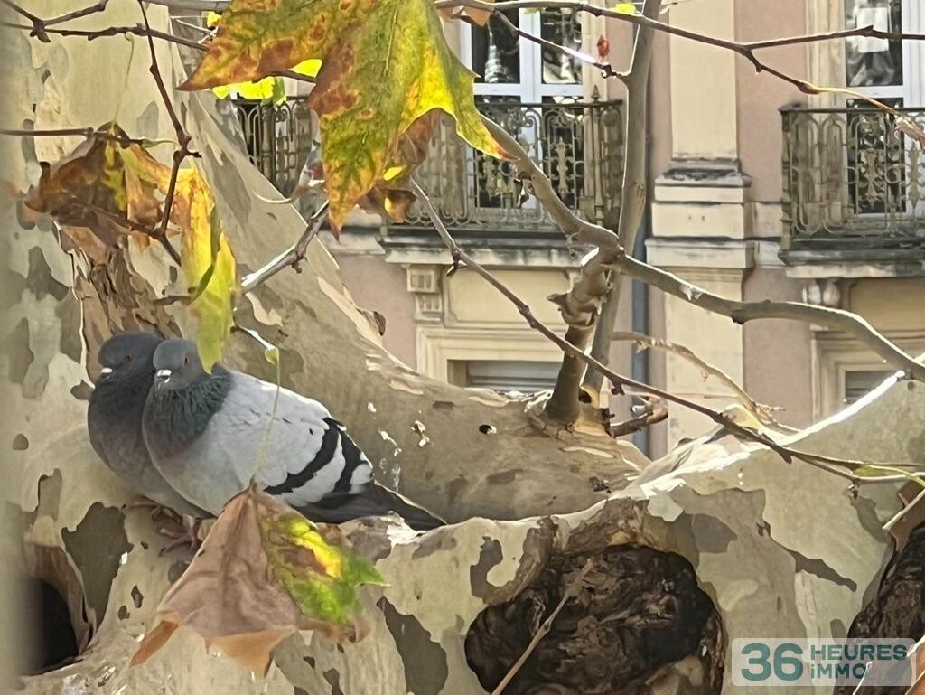 Deux immeubles perpignan 712 m2 