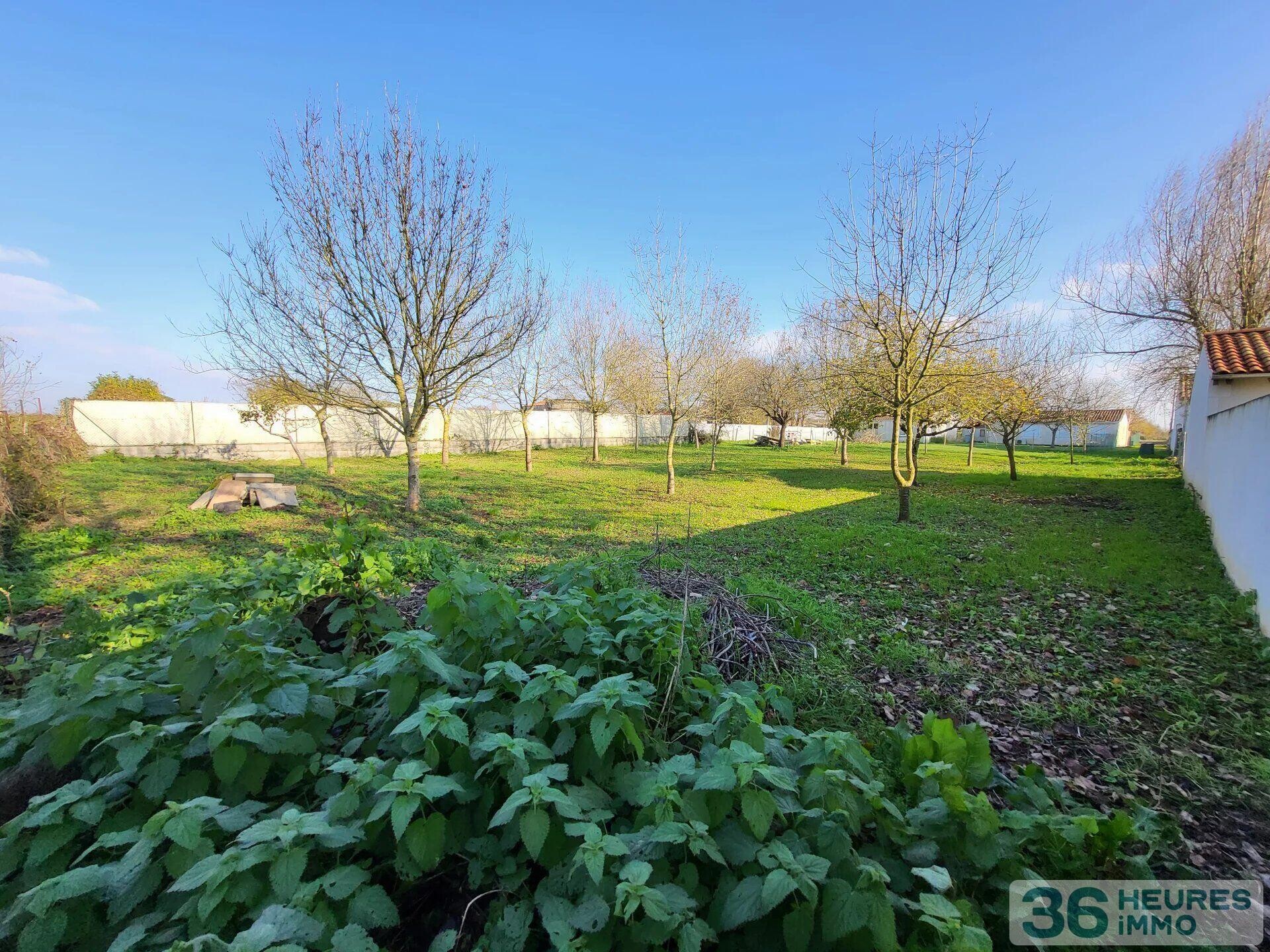 Terrain à Ardillières