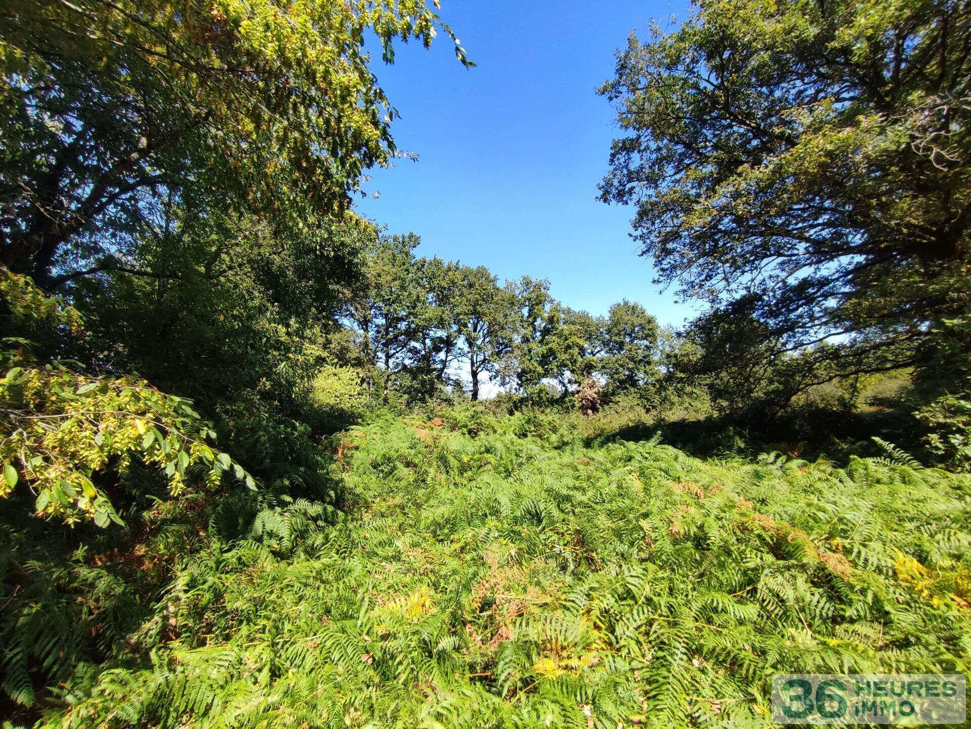 Terrain de loisirs 5585 m²