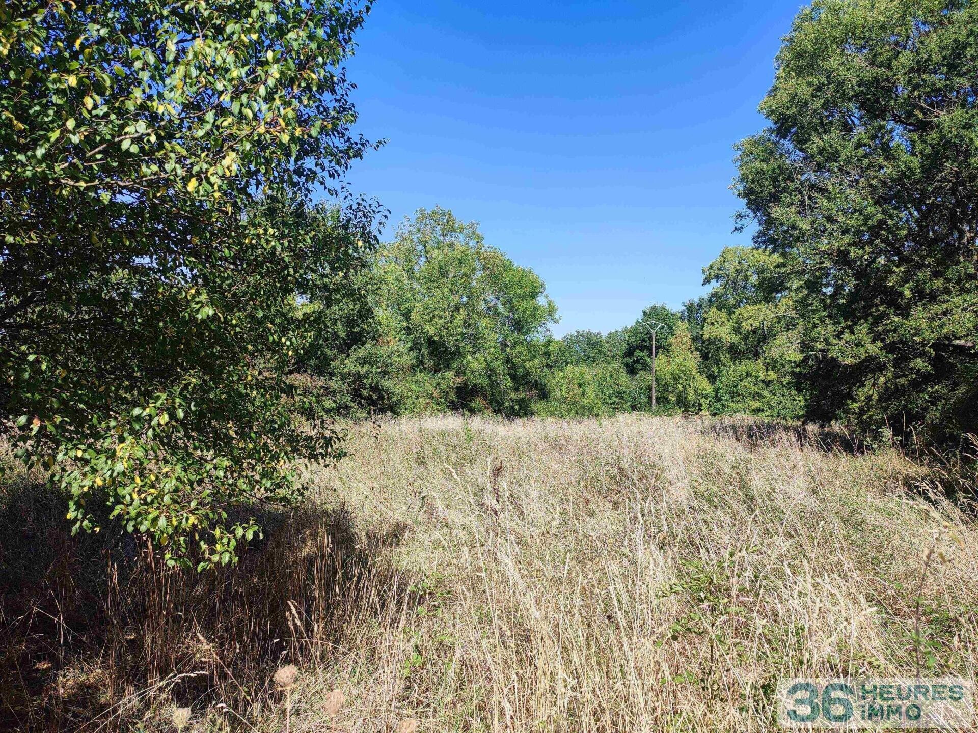 Terrain de loisirs 5585 m²