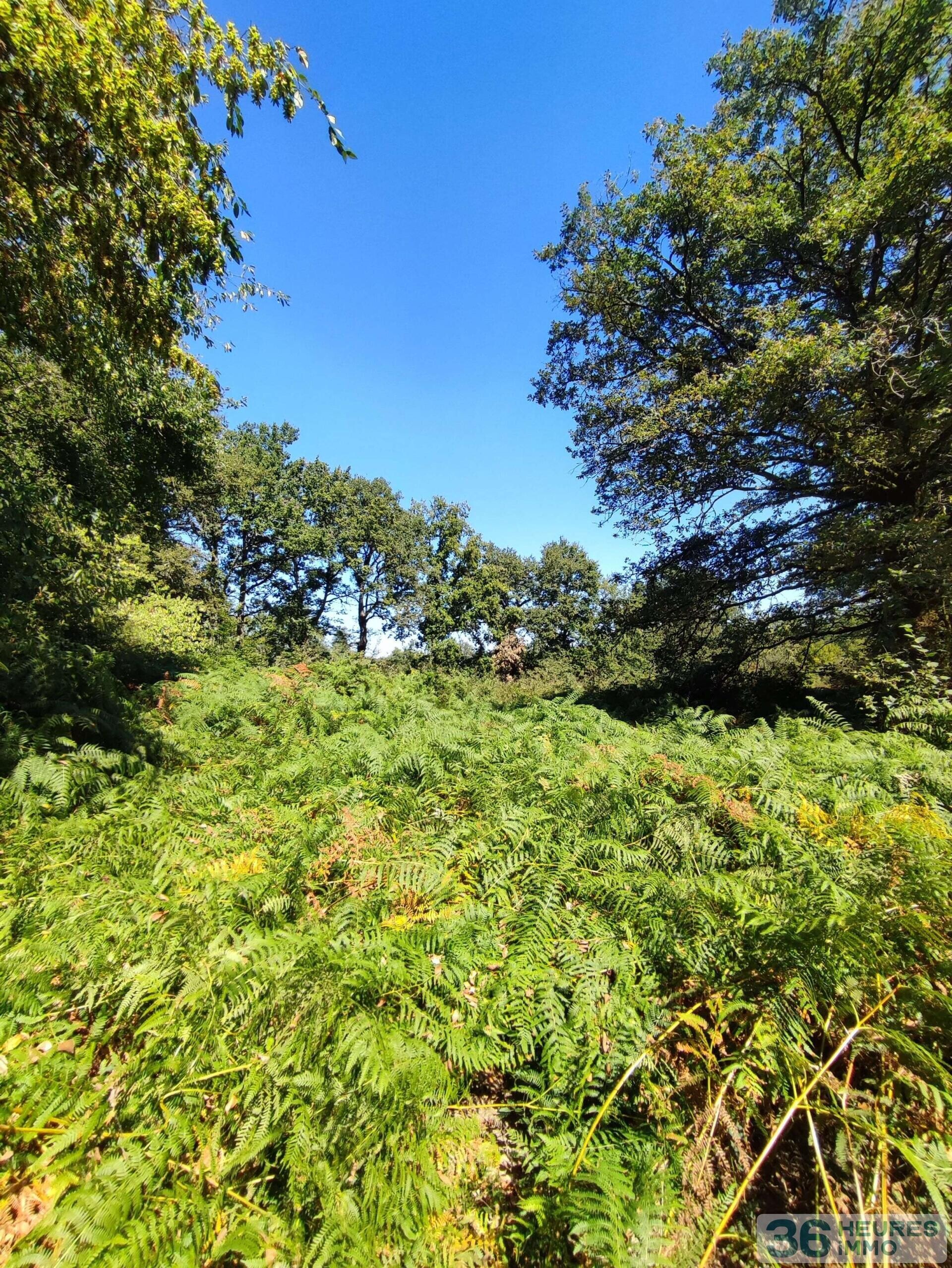 Terrain de loisirs 5585 m²