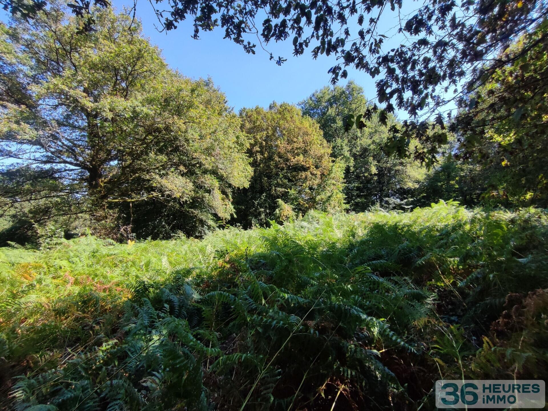 Terrain de loisirs 5585 m²