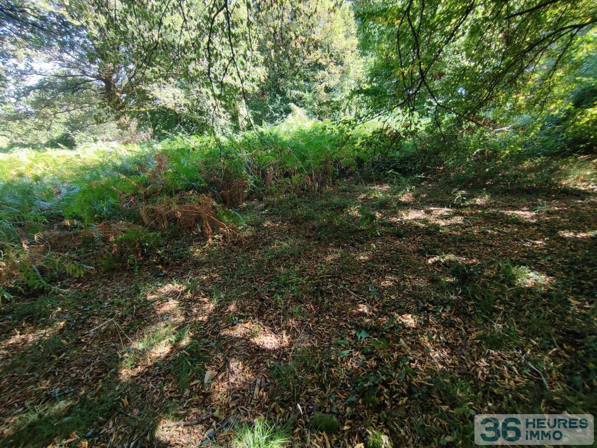 Terrain de loisirs 5585 m²