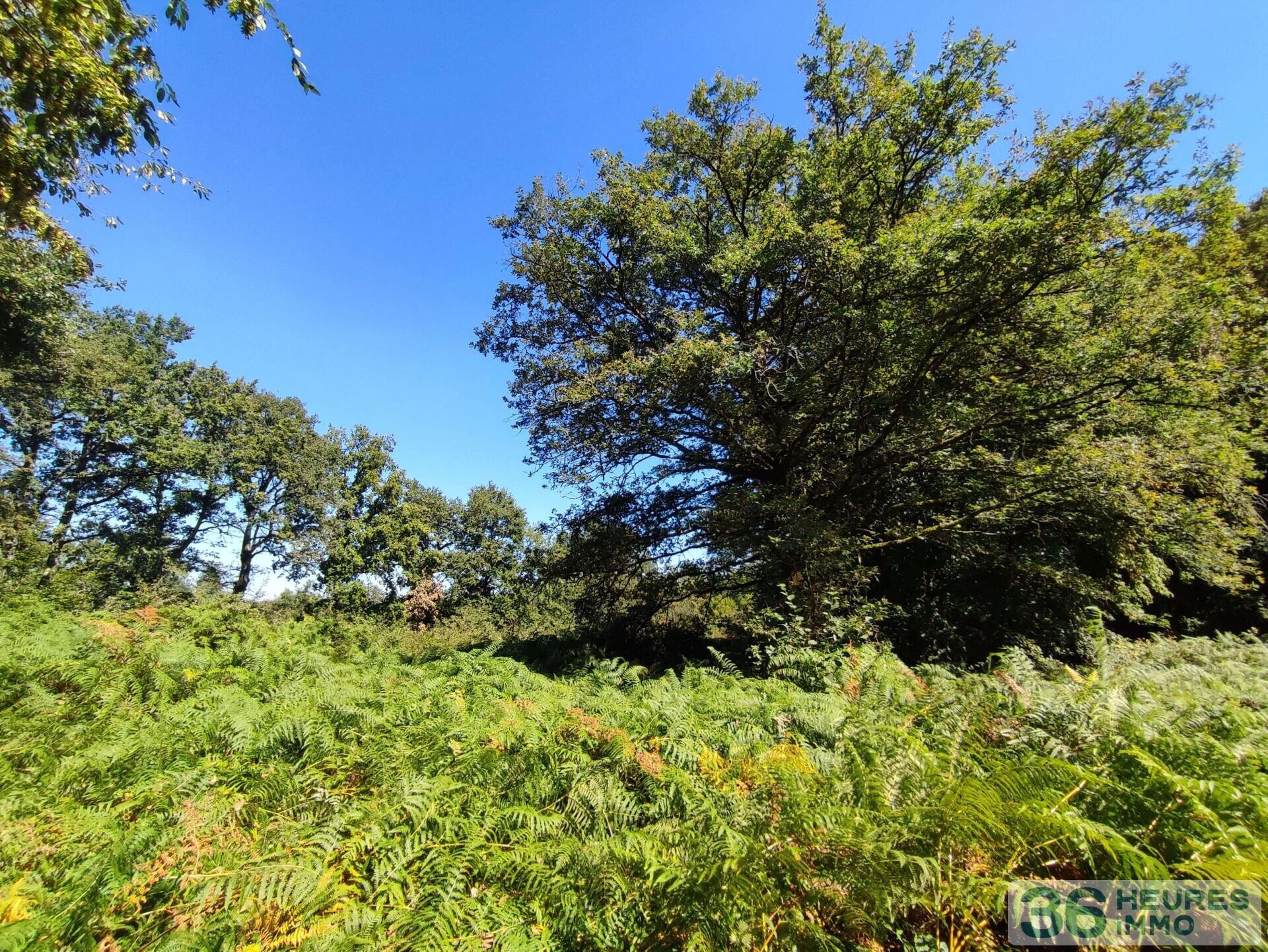 Terrain de loisirs 5585 m²