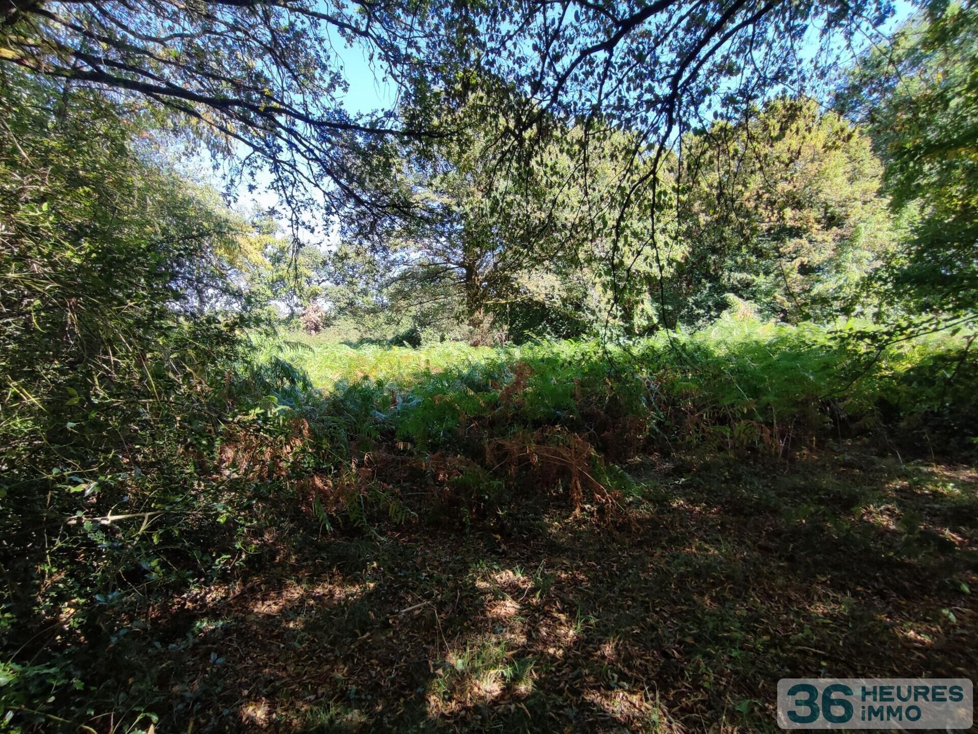 Terrain de loisirs 5585 m²