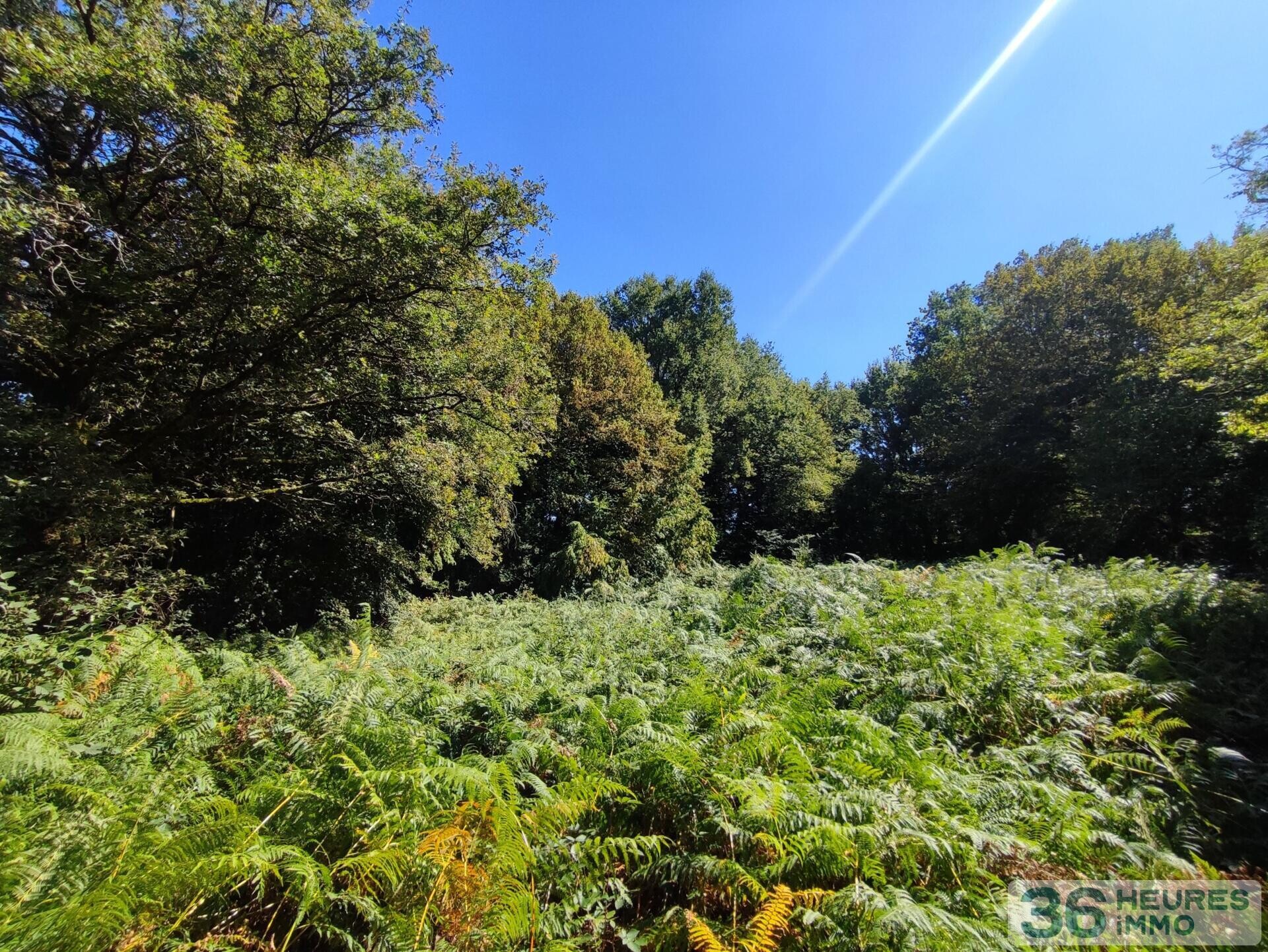 Terrain de loisirs 5585 m²