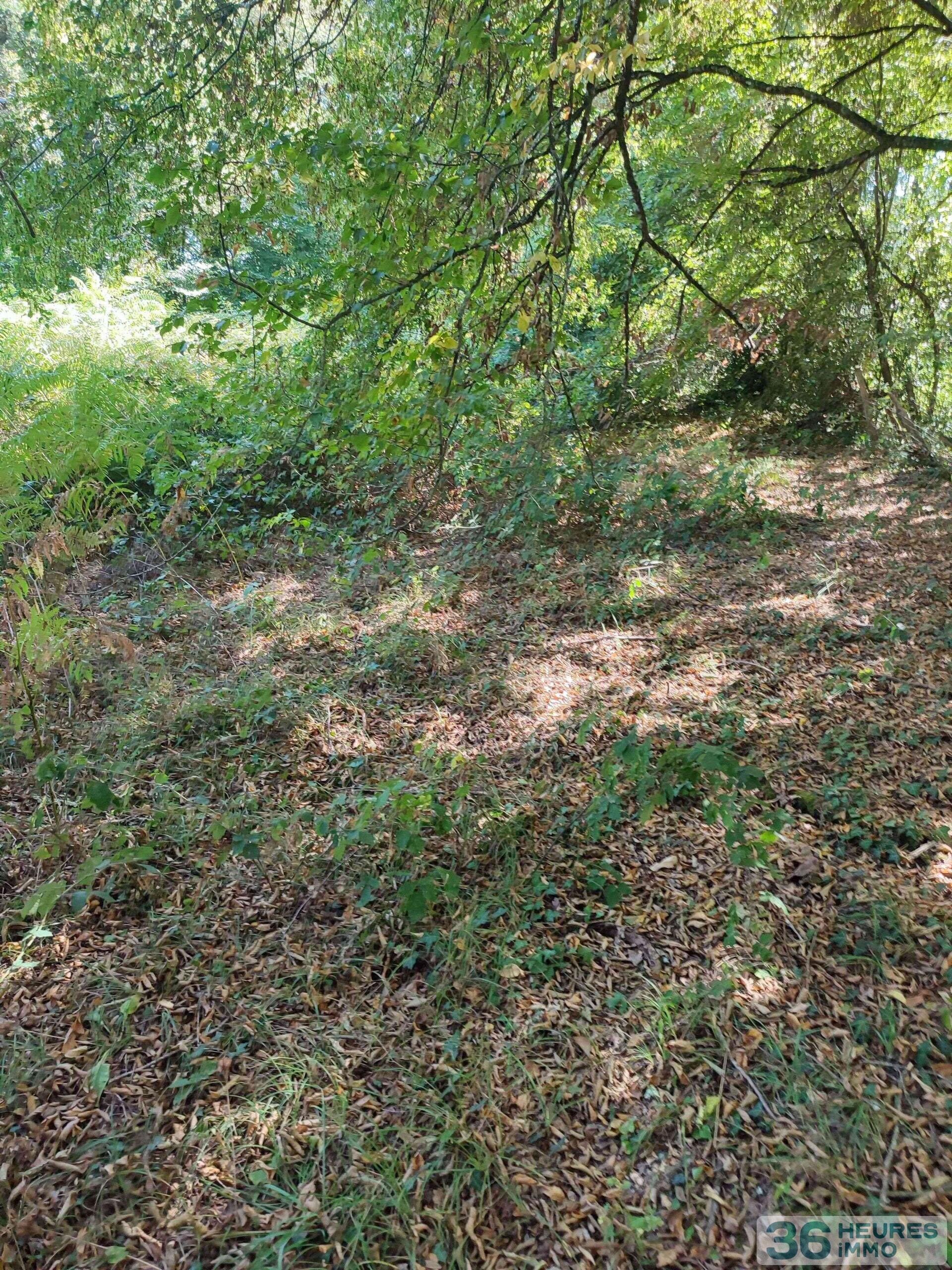 Terrain de loisirs 5585 m²