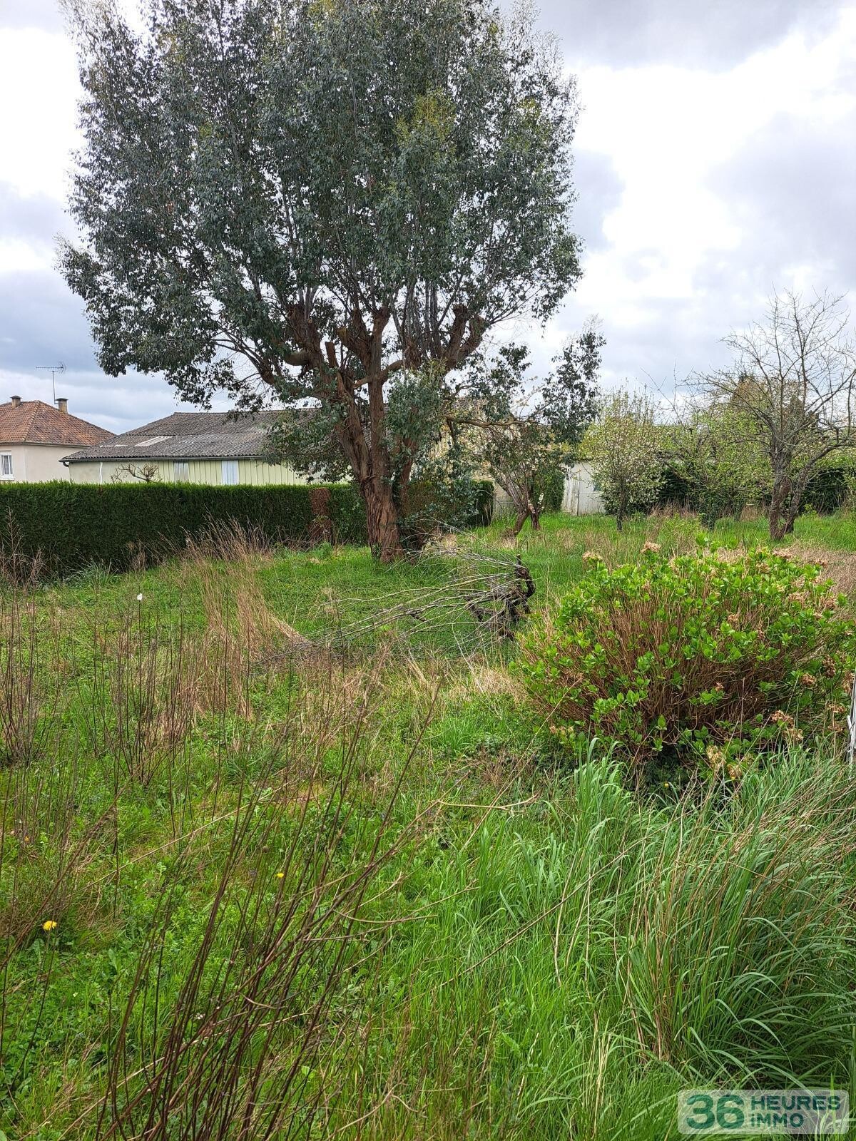 MAISON SUR GRANDE PARCELLE