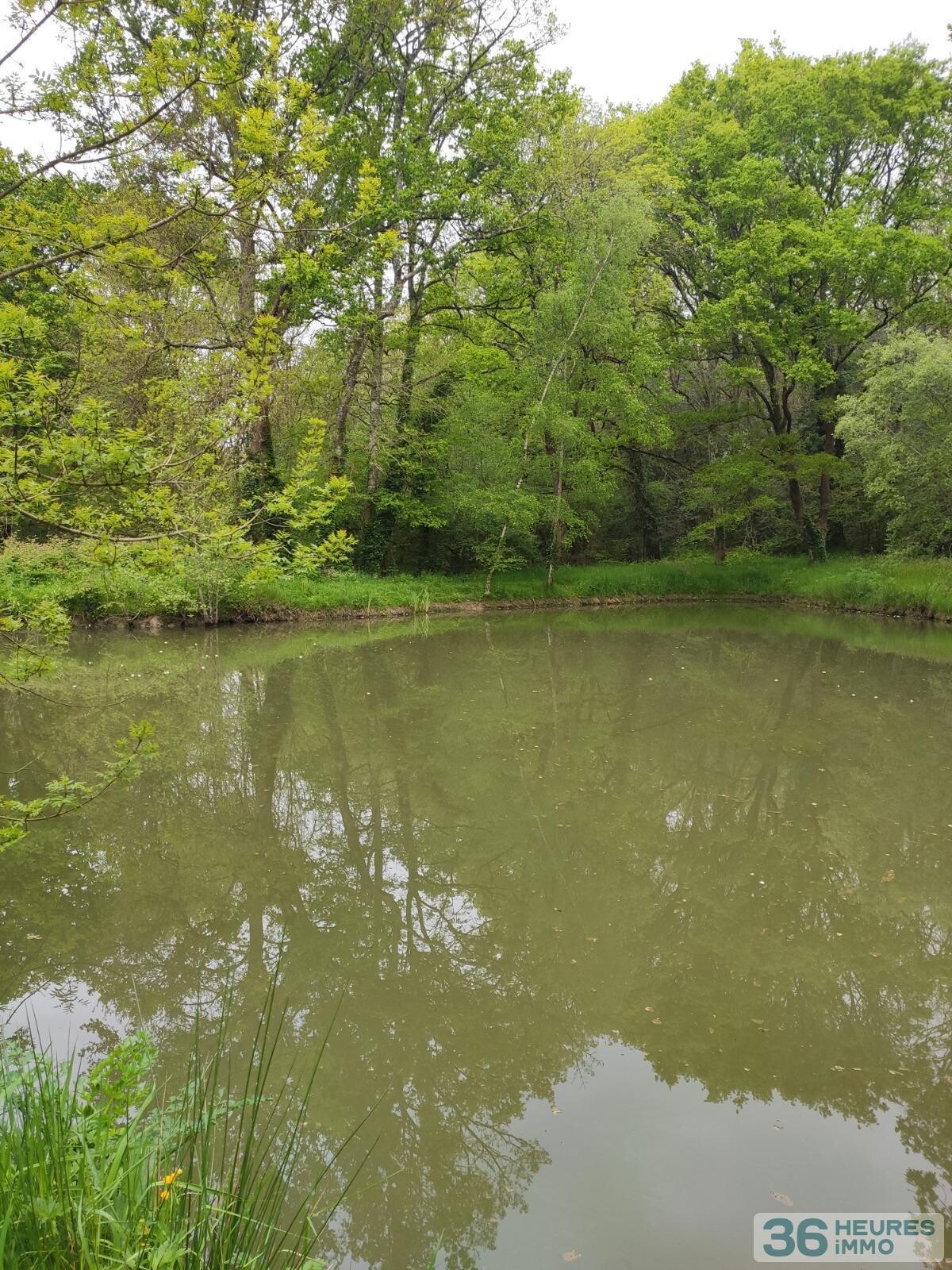 Grande villa au coeur d'un parc boisé