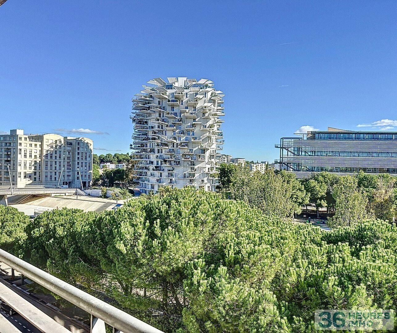 T 2 EN PREMIERE LIGNE SUR LES BERGES DU LEZ 