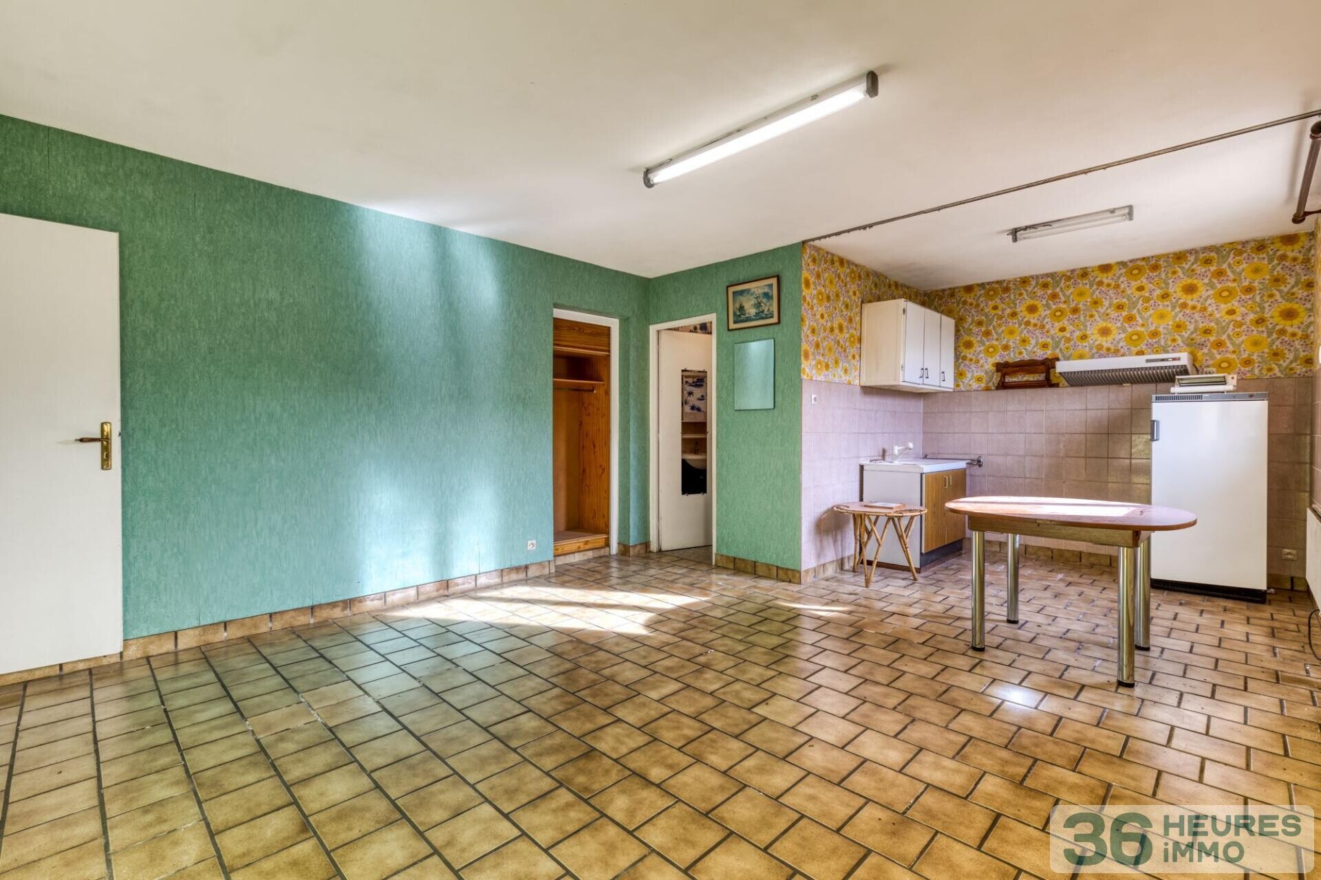 Maison avec grand terrain