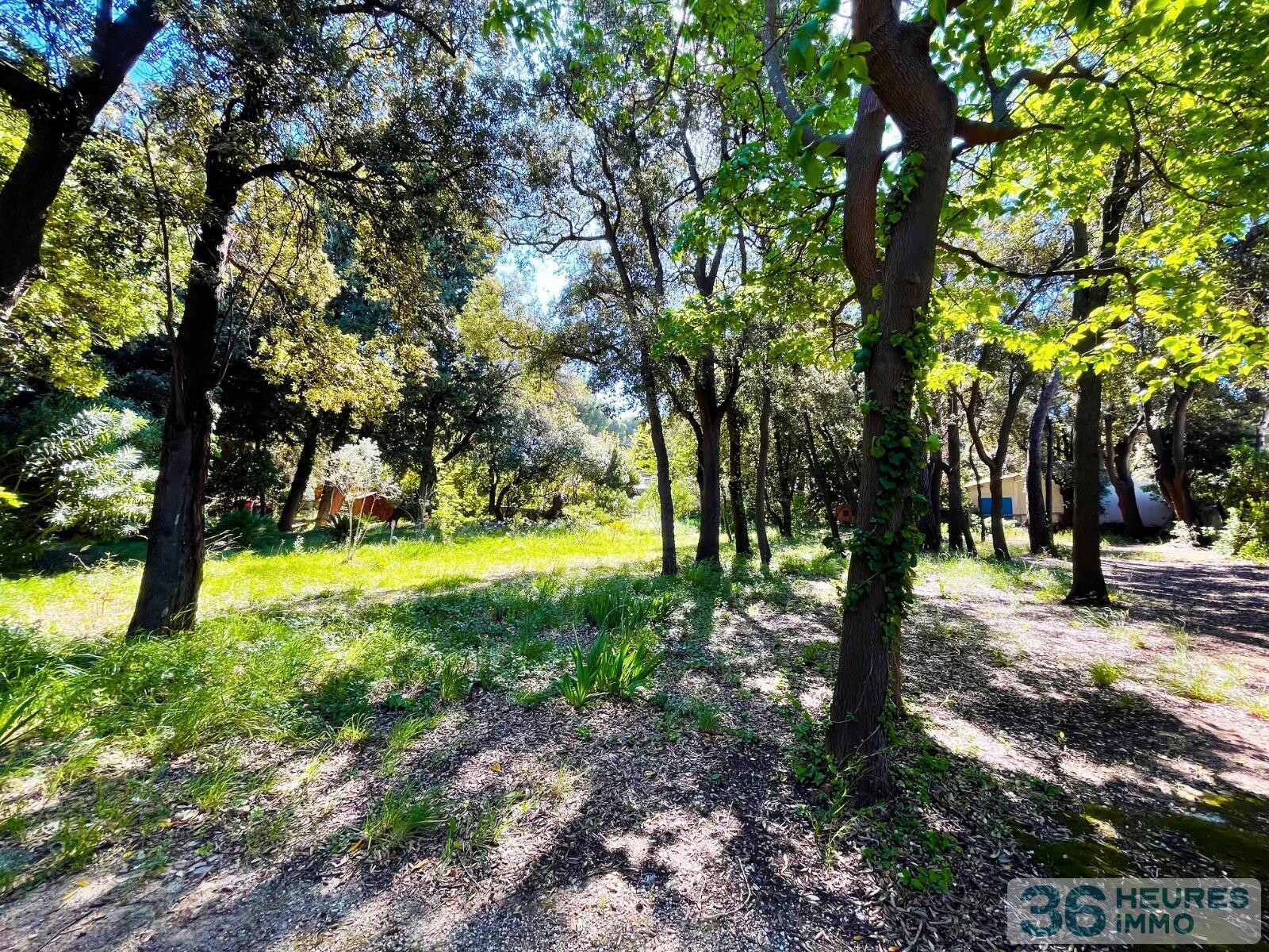 Maison de 8 pièces, dépendances et petit port privé