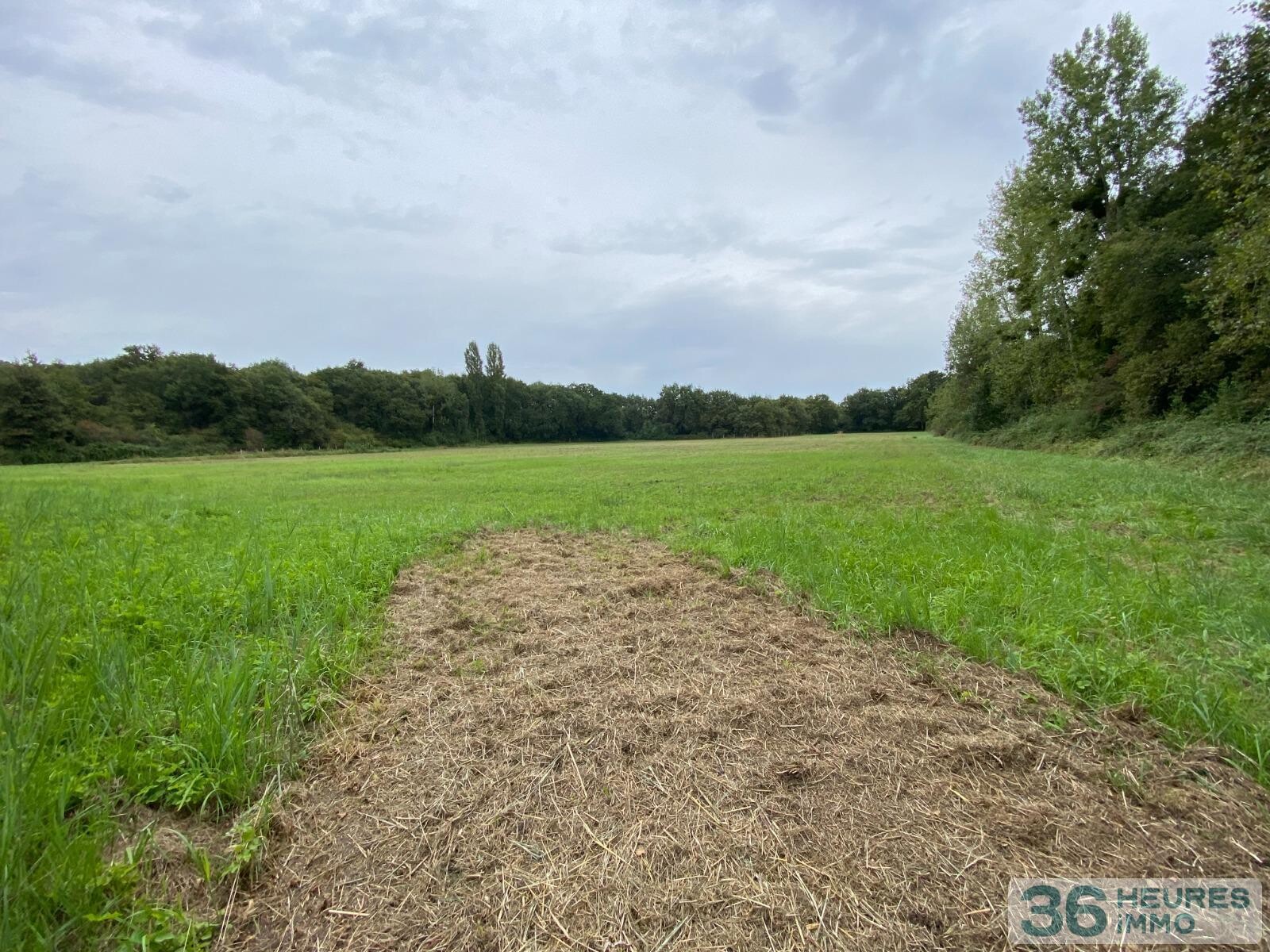 Propriété de chasse en Brenne