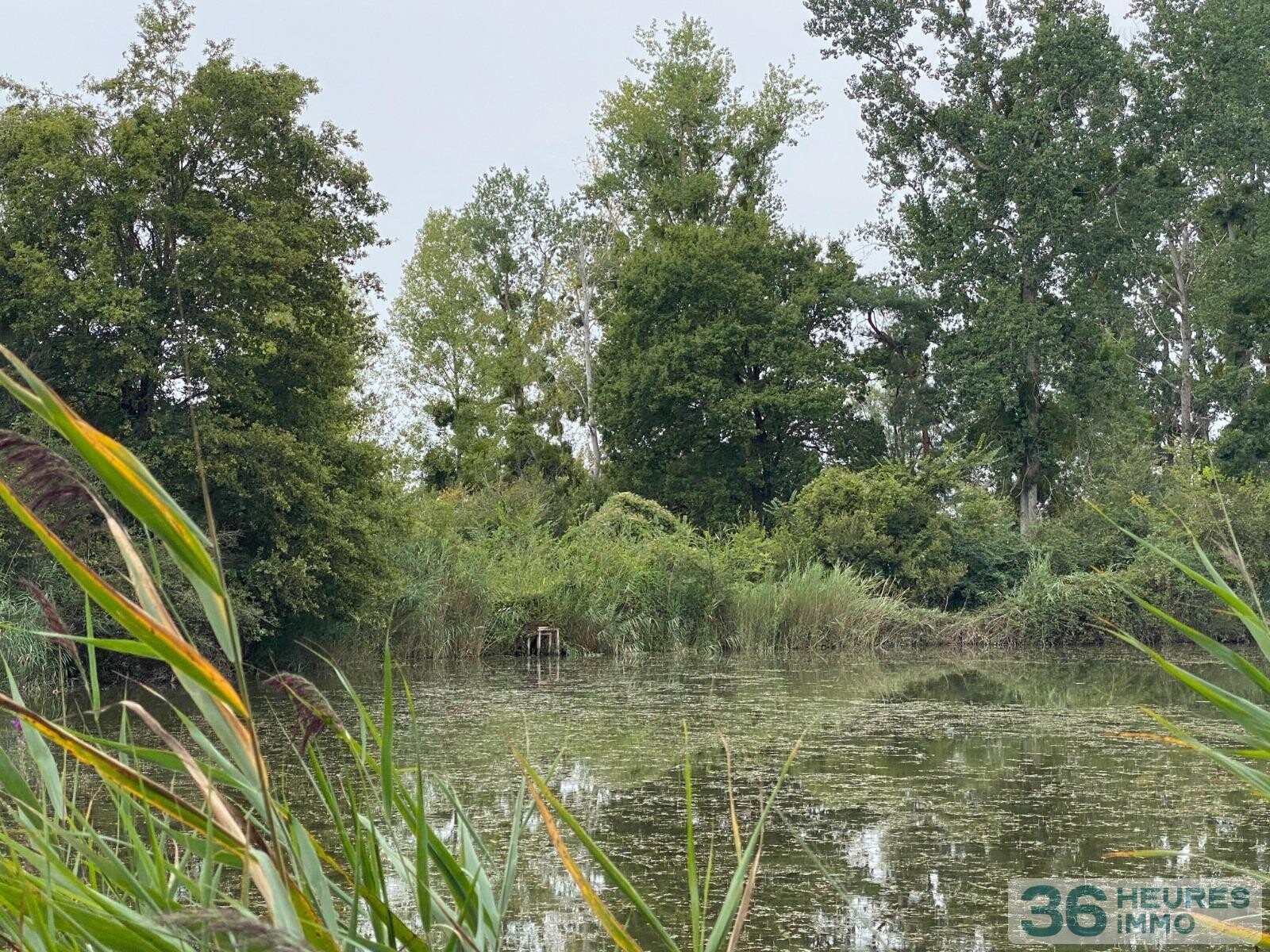Propriété de chasse en Brenne