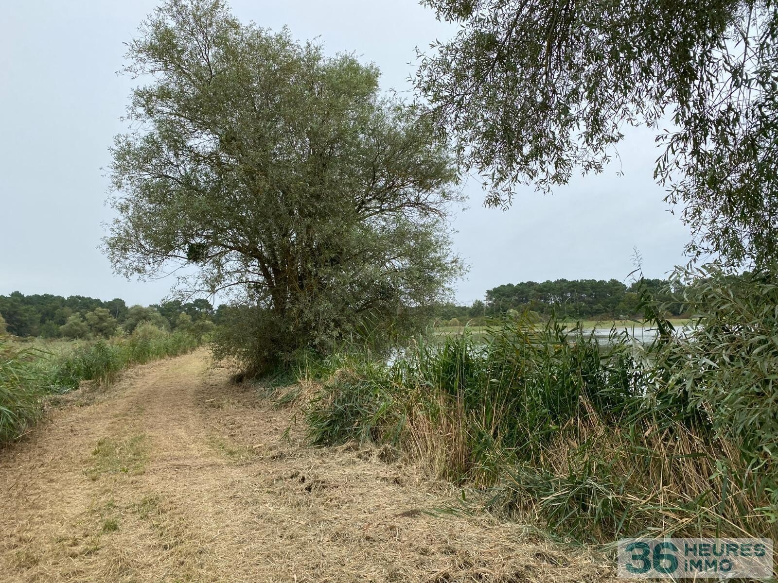 Propriété de chasse en Brenne