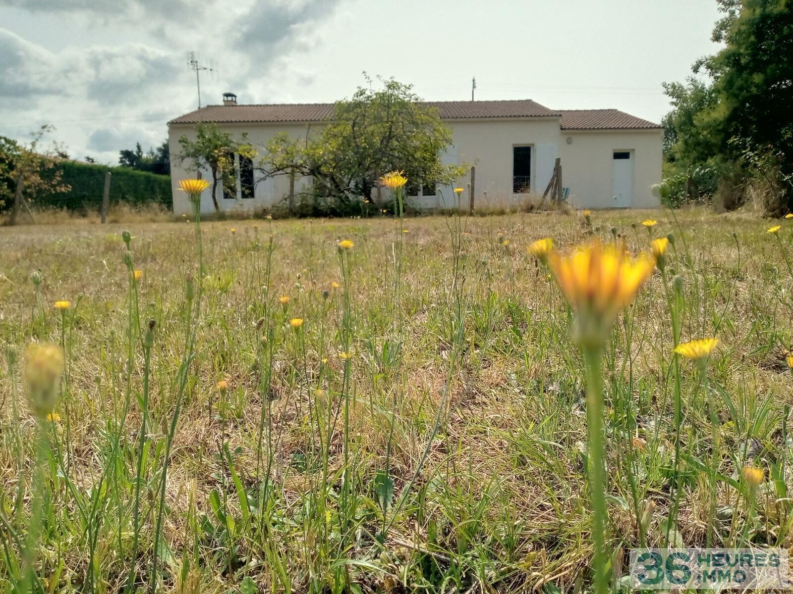 Maison avec grand jardin