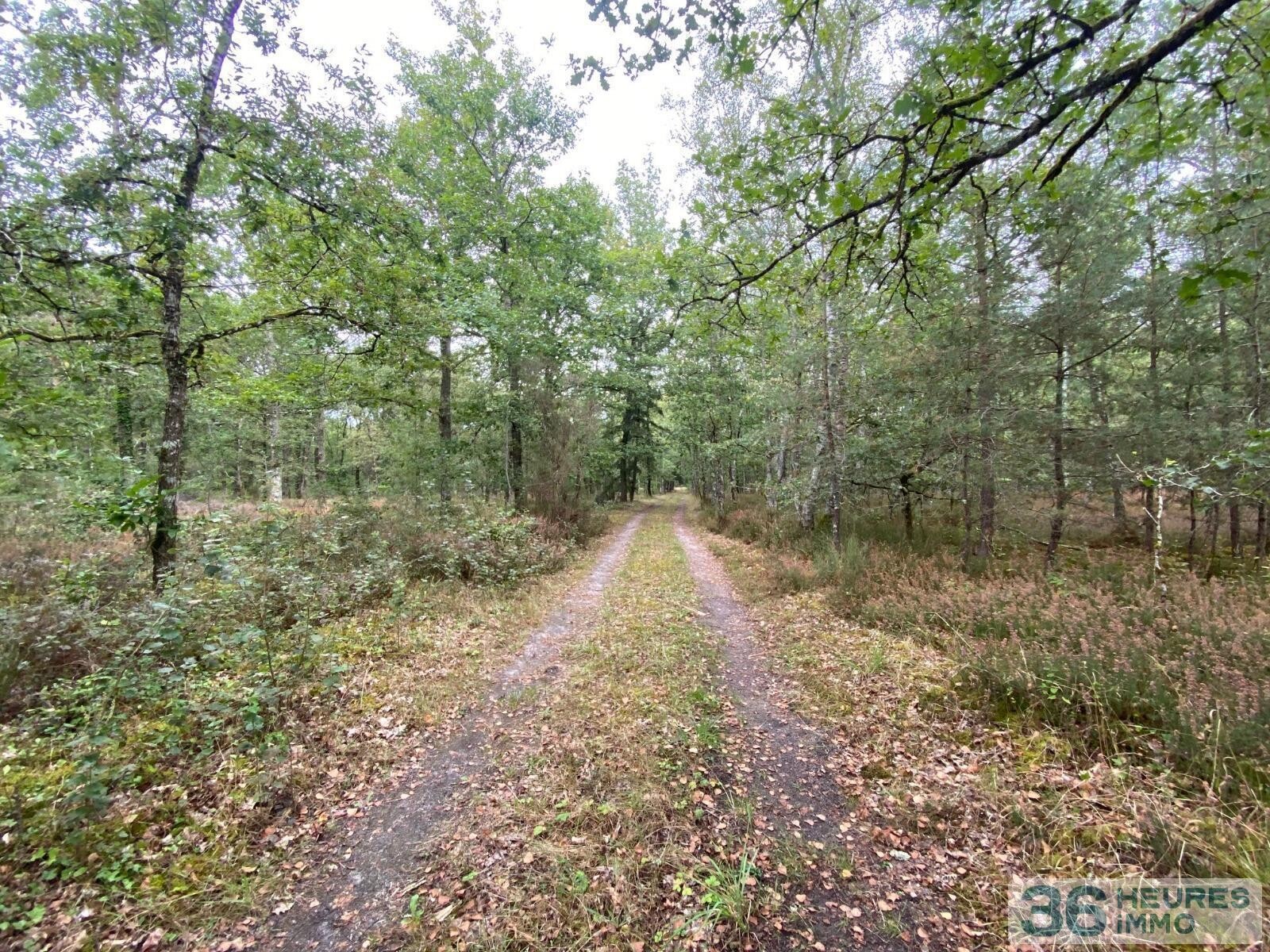 Terrain de loisirs avec bord de rivière