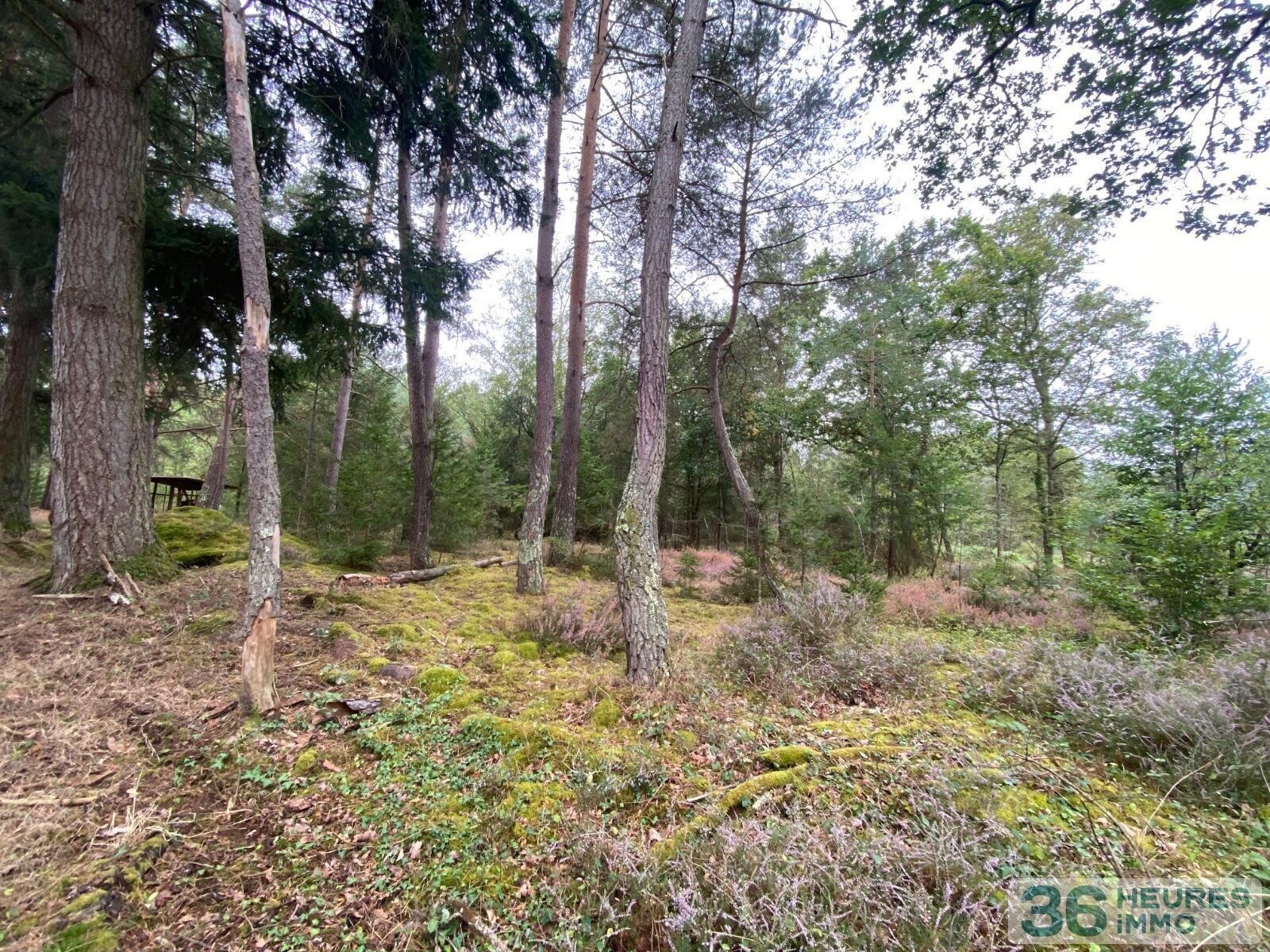 Terrain de loisirs avec bord de rivière