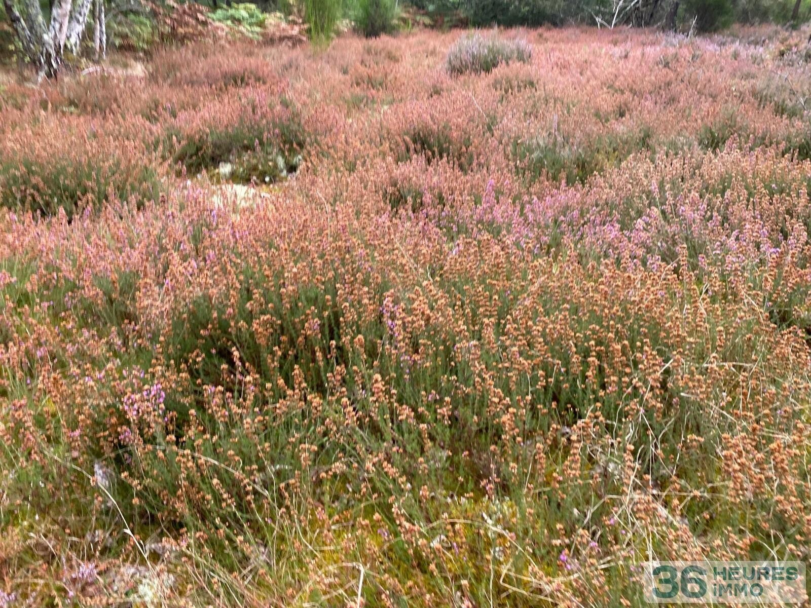Terrain de loisirs avec bord de rivière