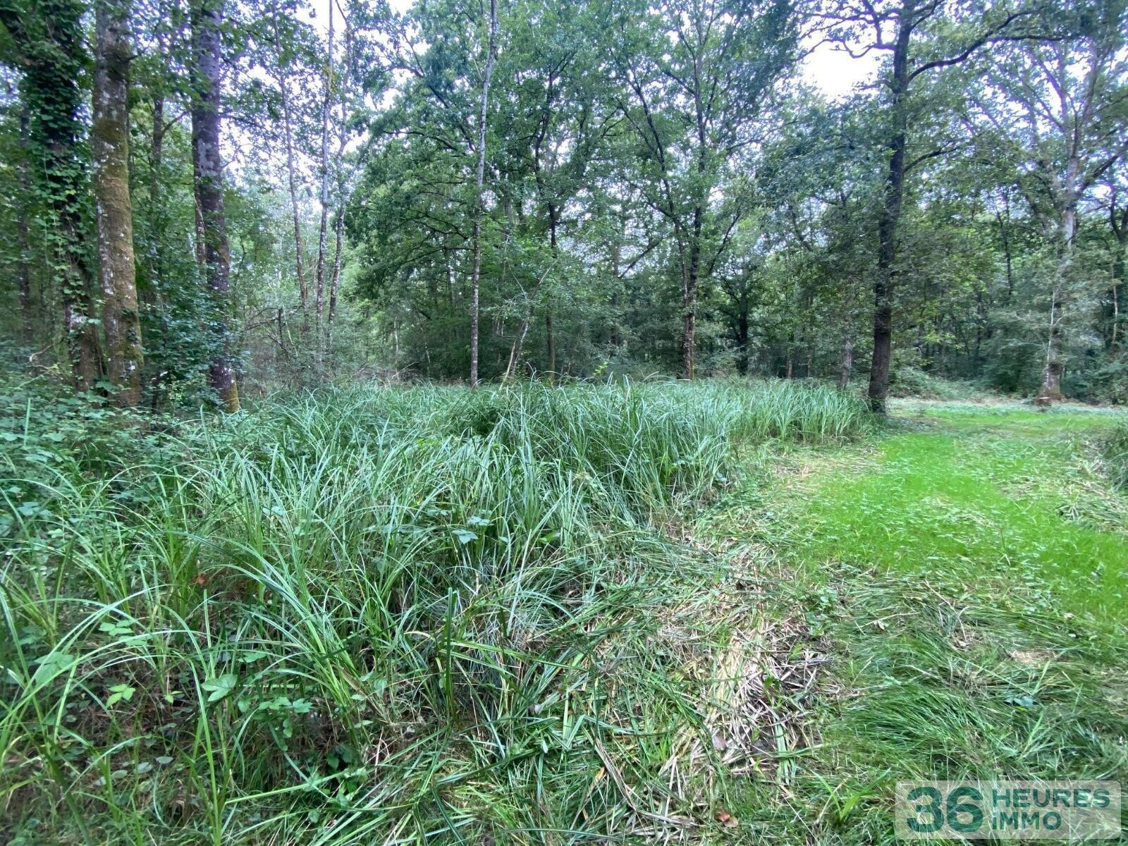 Terrain de loisirs avec bord de rivière
