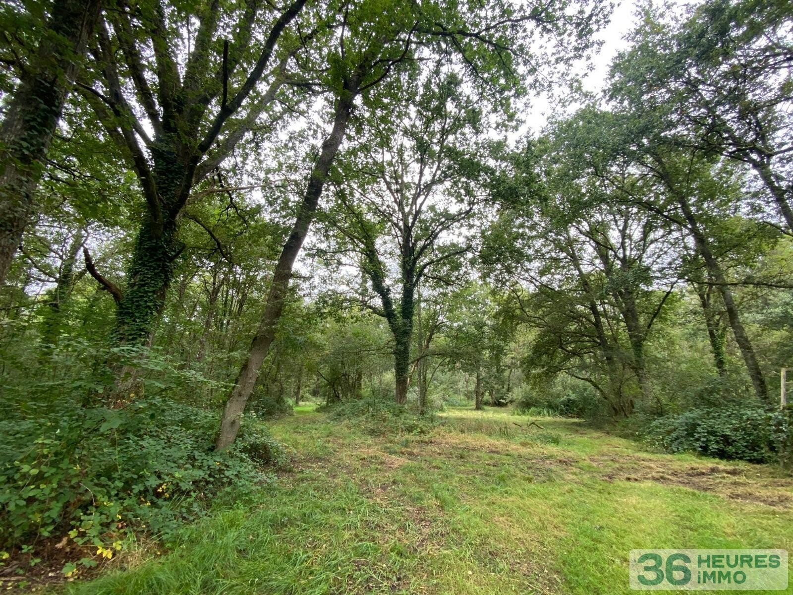 Terrain de loisirs avec bord de rivière