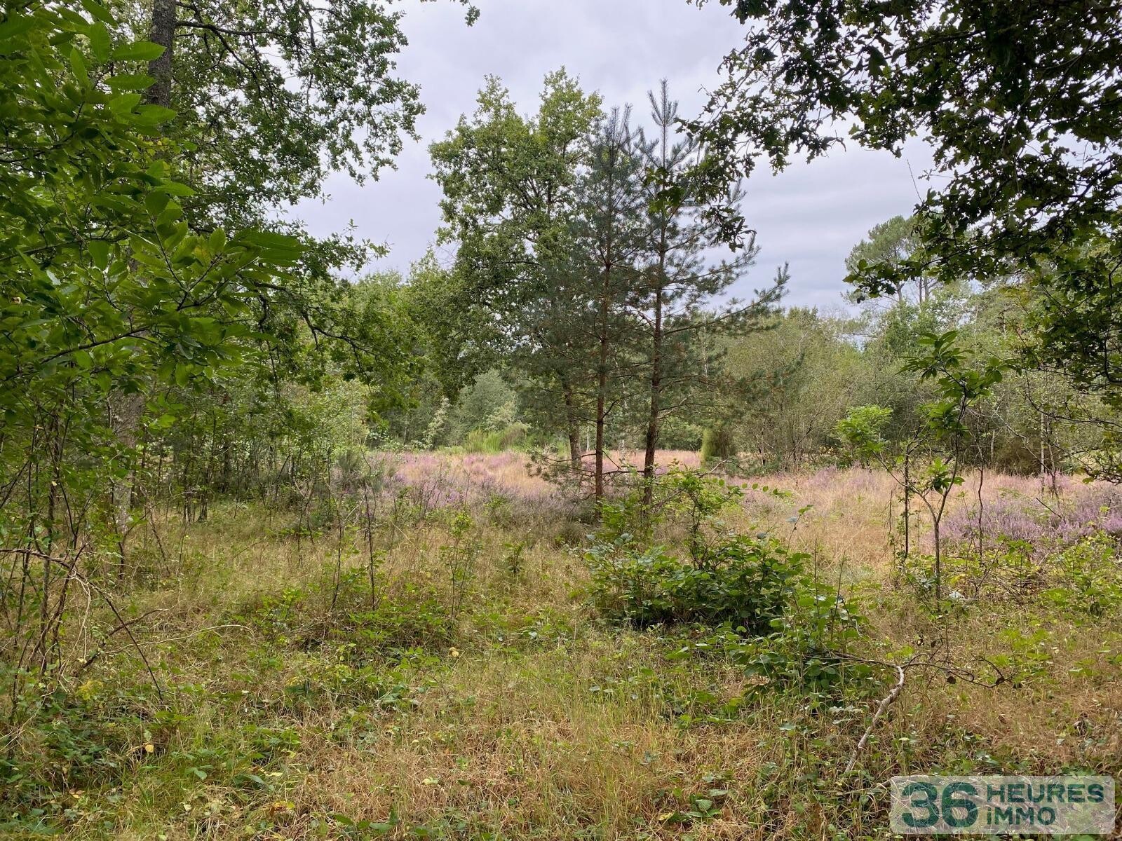 Terrain de loisirs avec bord de rivière