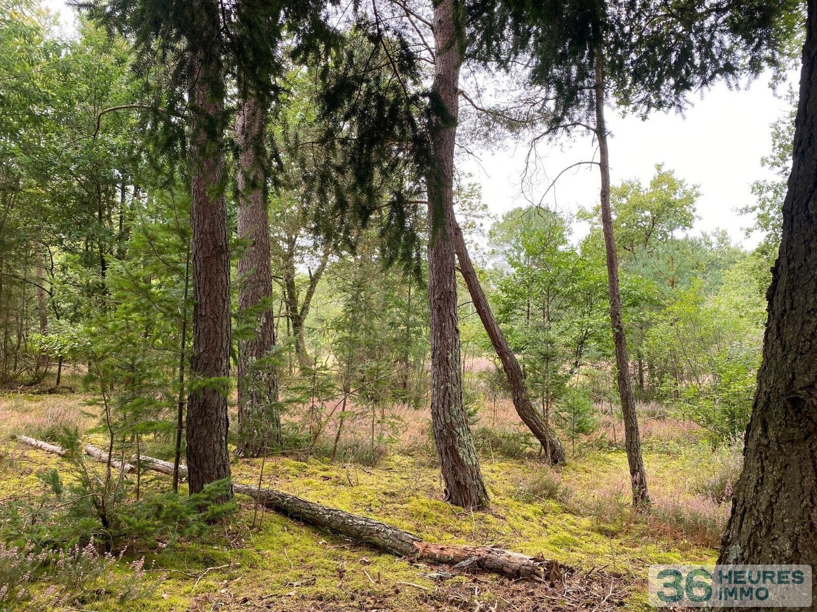 Terrain de loisirs avec bord de rivière