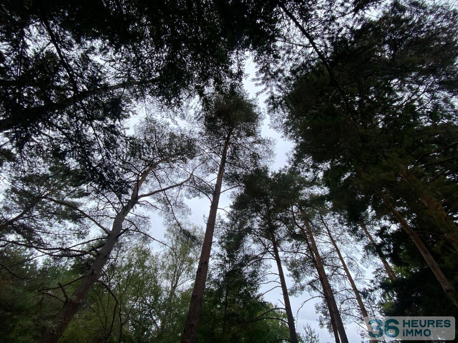 Terrain de loisirs avec bord de rivière