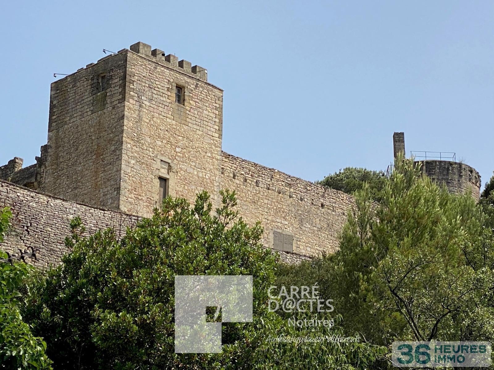 Grande Maison en cur de village BOISSIERES