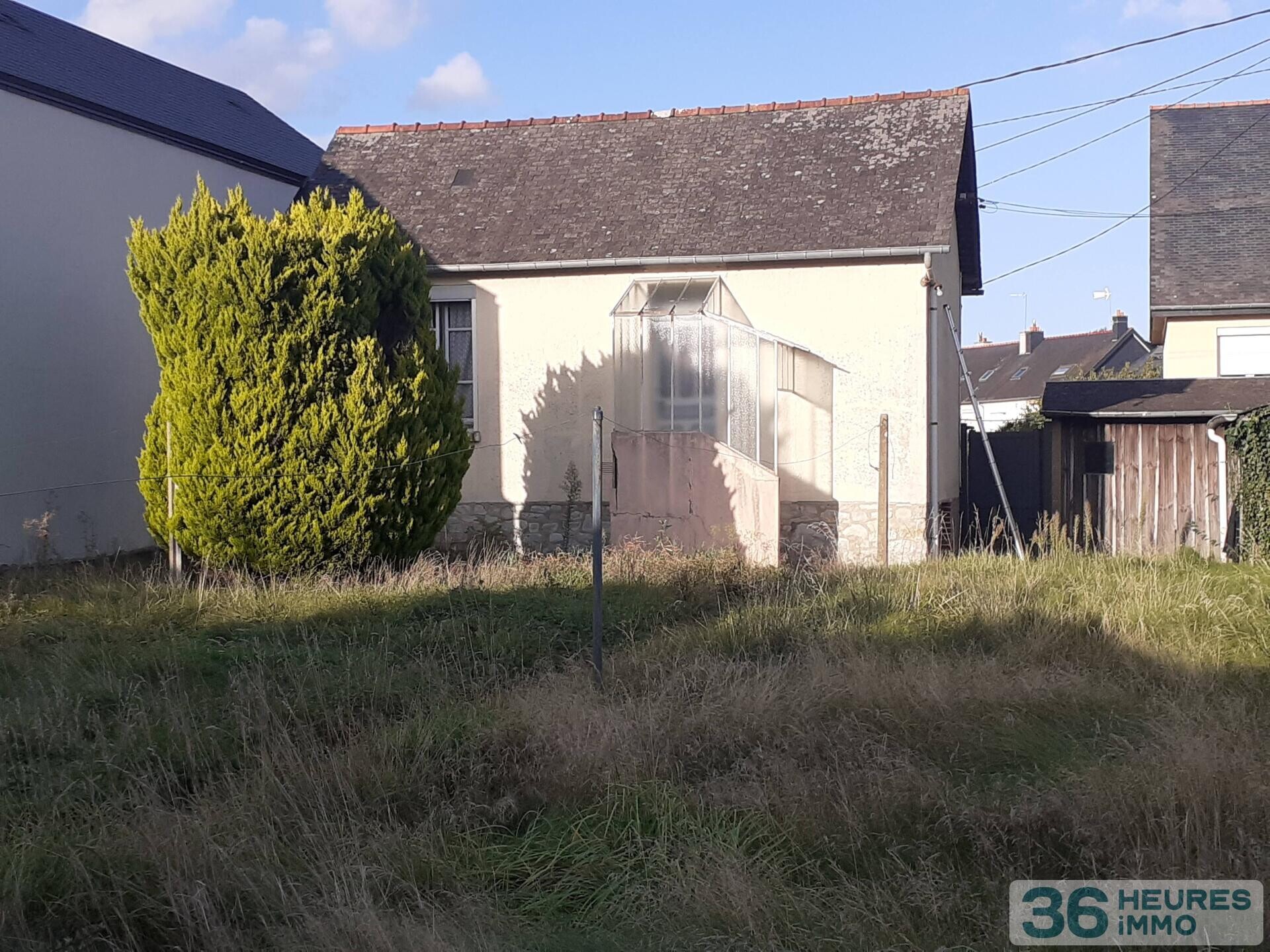 maison avec grand terrain