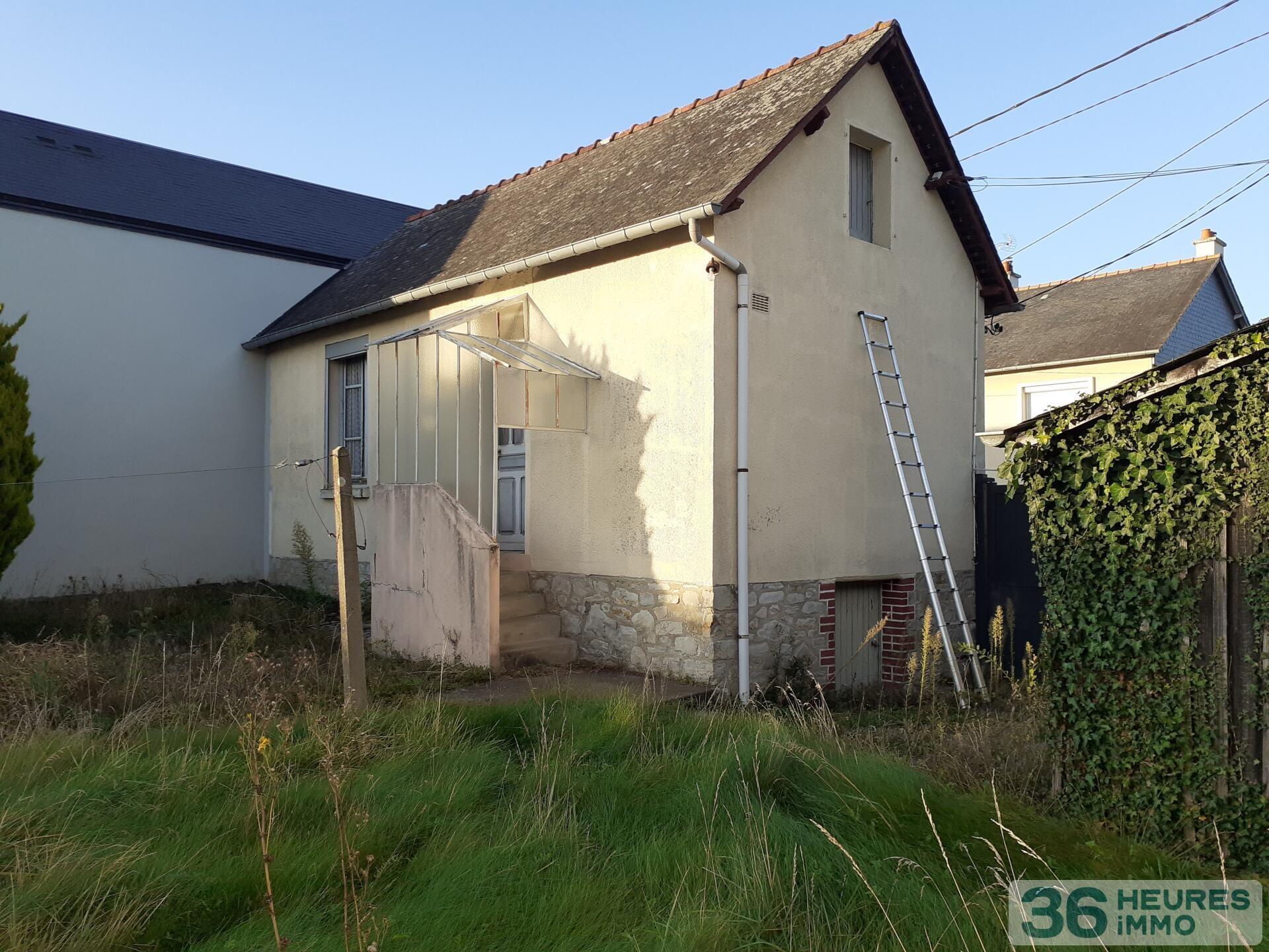 maison avec grand terrain