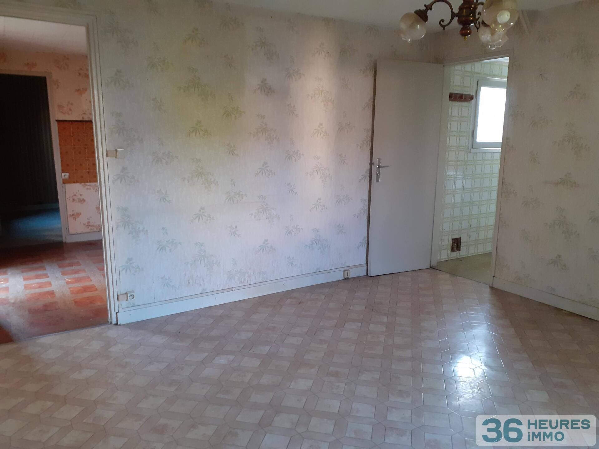 maison avec grand terrain