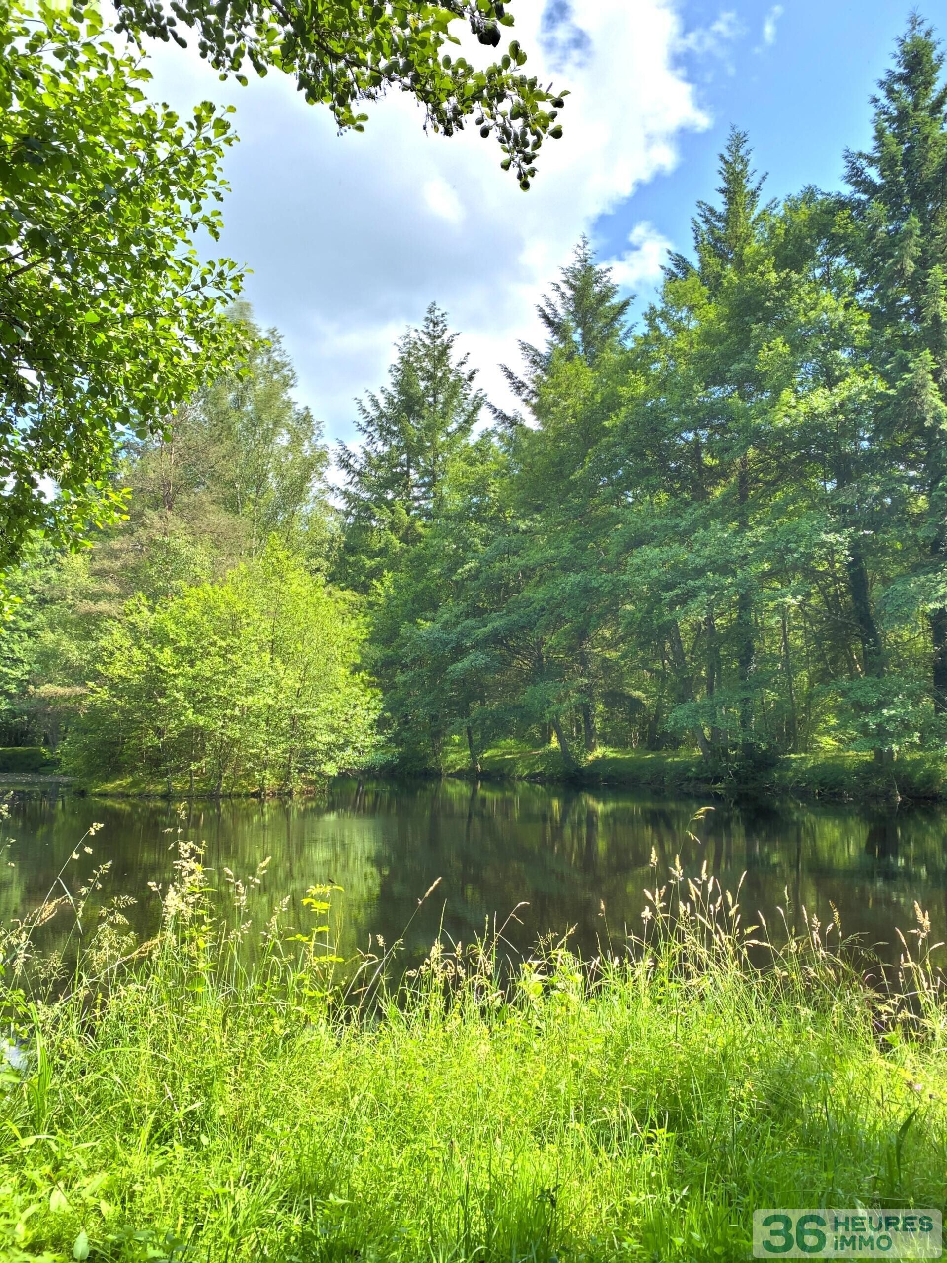 A VENDRE-ANCIEN MOULIN SUR 14HA DE BOIS AVEC ETANG-290 000€ FAI-8 Pieces-193m²-21210 CHAMPEAU-EN-MORVAN