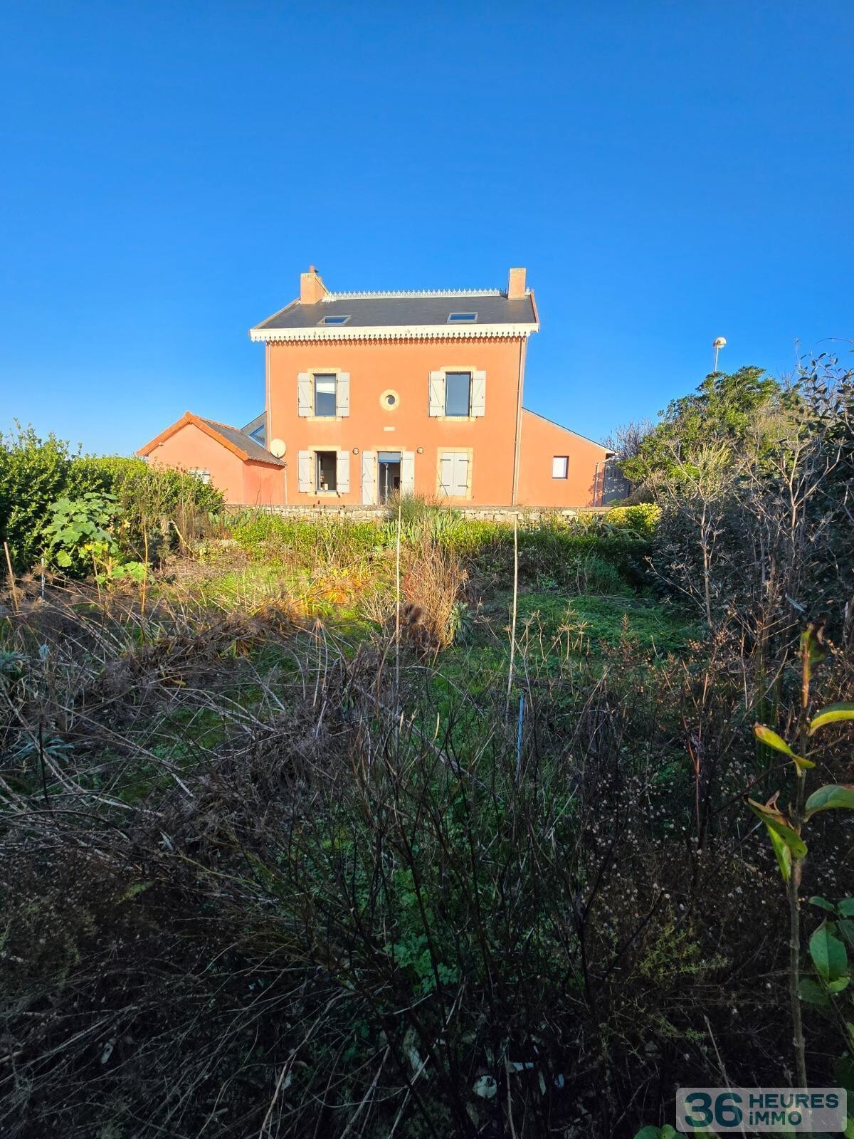 MAISON ROSE