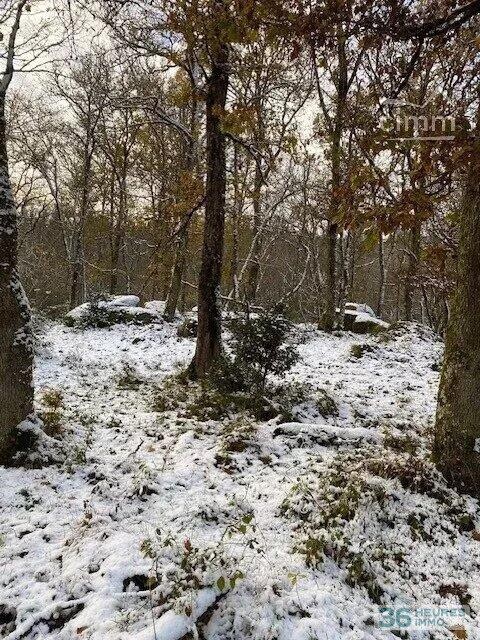 Bois à vendre-ST GERMAIN DE MODEON